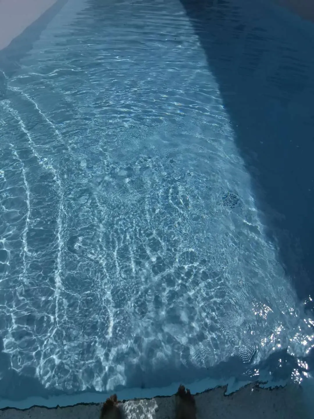 Swimming pool in Bohol Cattleya Resort
