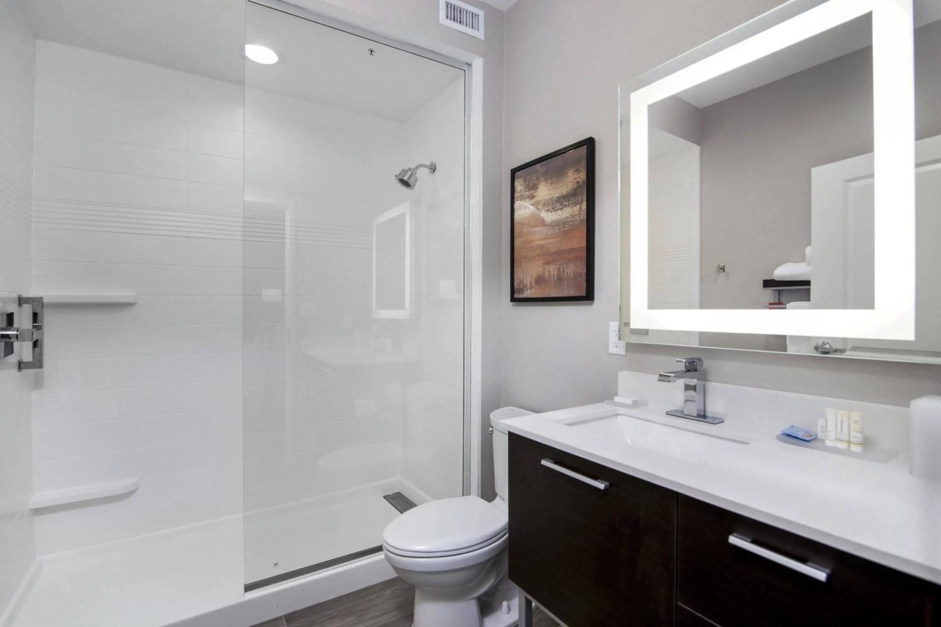 Bathroom in TownePlace Suites by Marriott Houston Hobby Airport