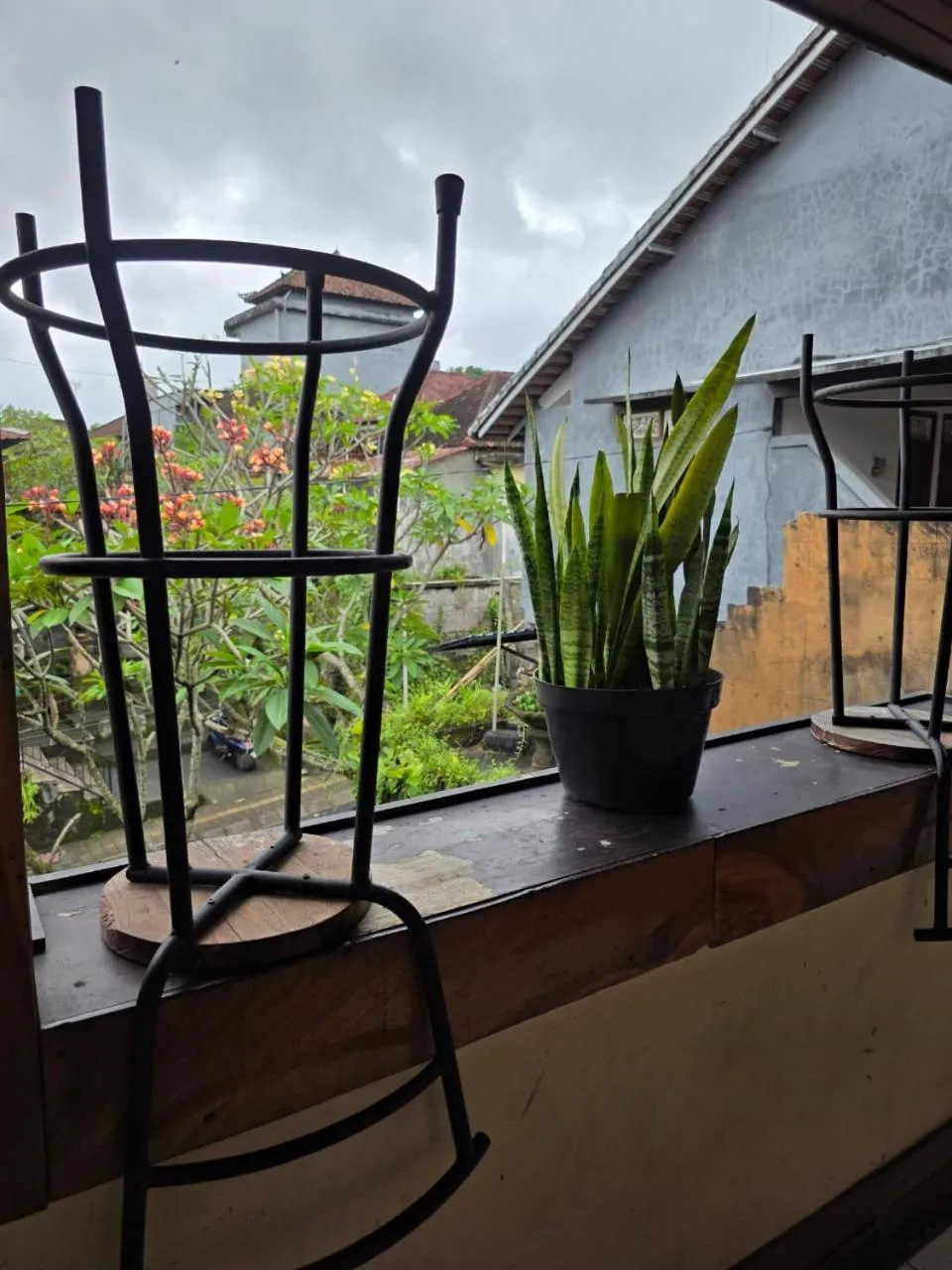 View (from property/room) in Bulan Bali Guest House