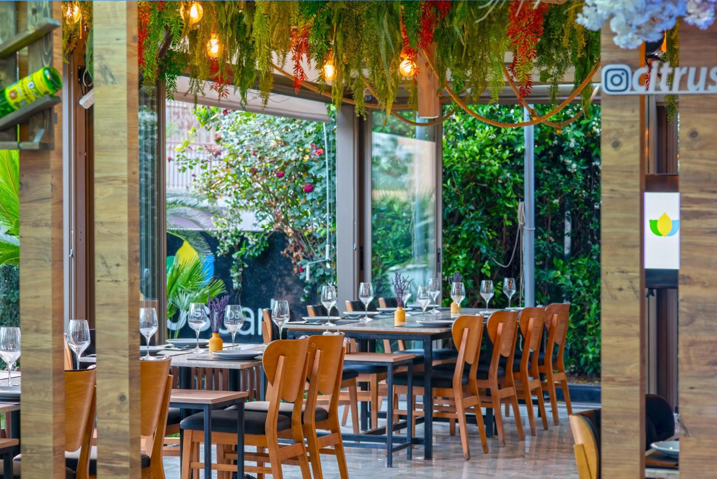 Restaurant/places to eat in Citrus Park Hotel