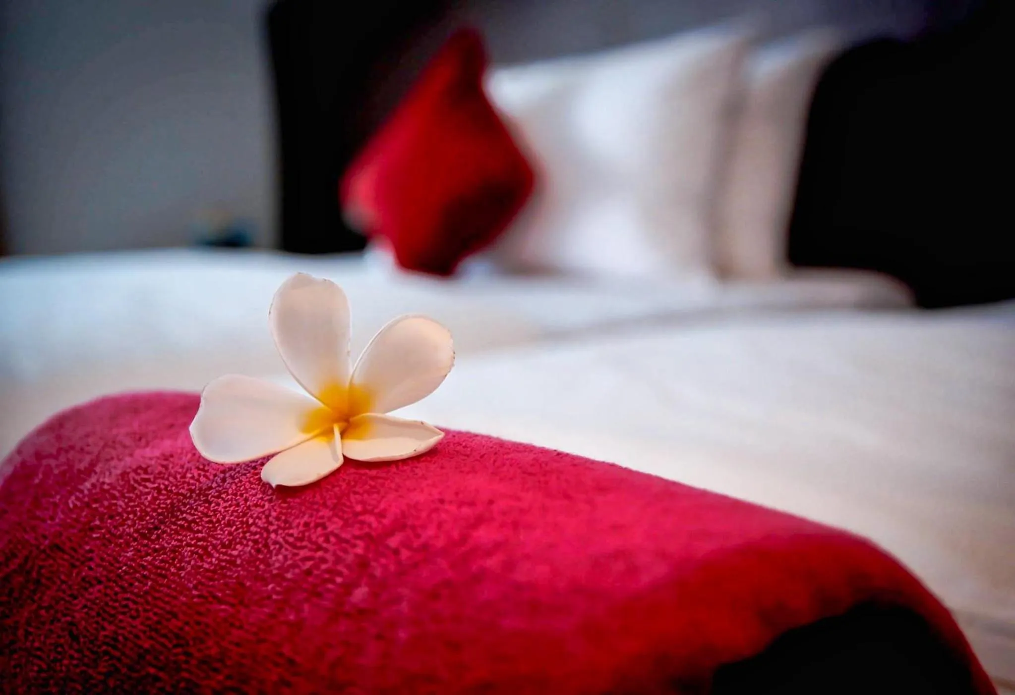 Bedroom, Bed in Scandia Beach Hotel