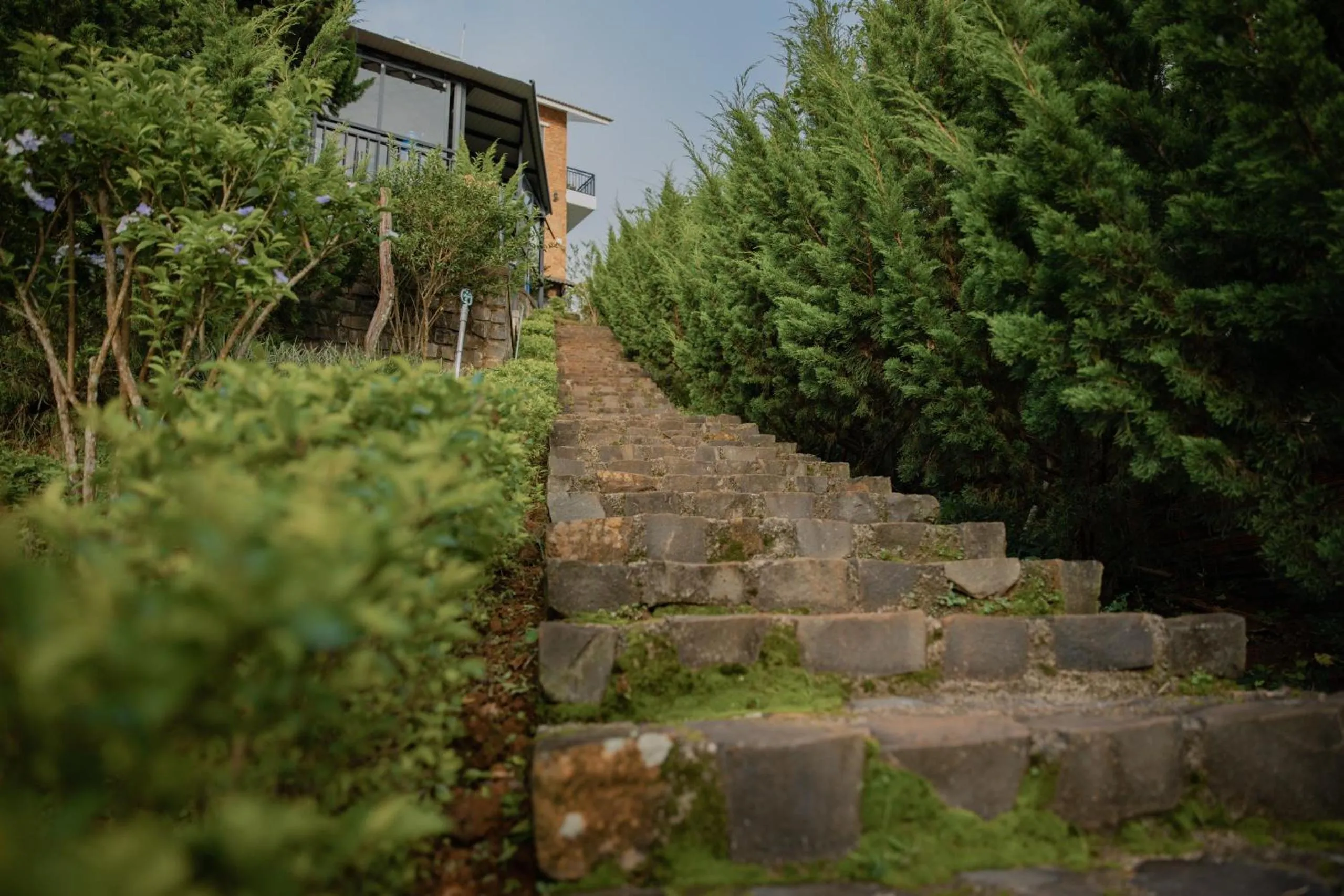 View (from property/room) in SEN VILLA Boutique