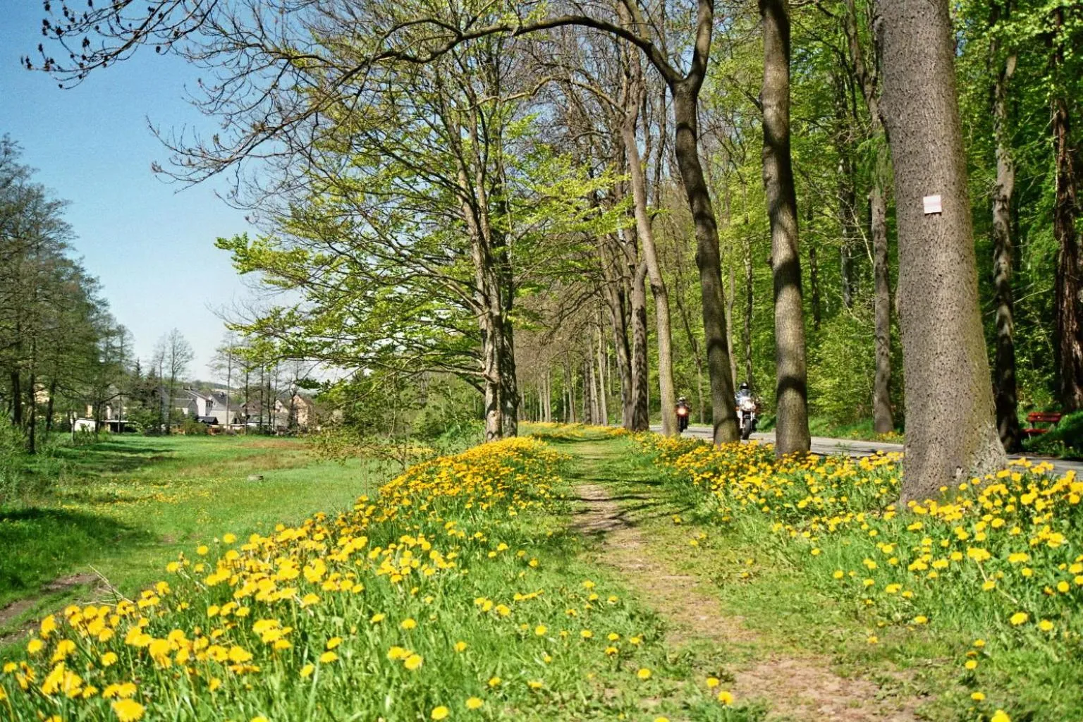 Area and facilities in Berghotel Talblick