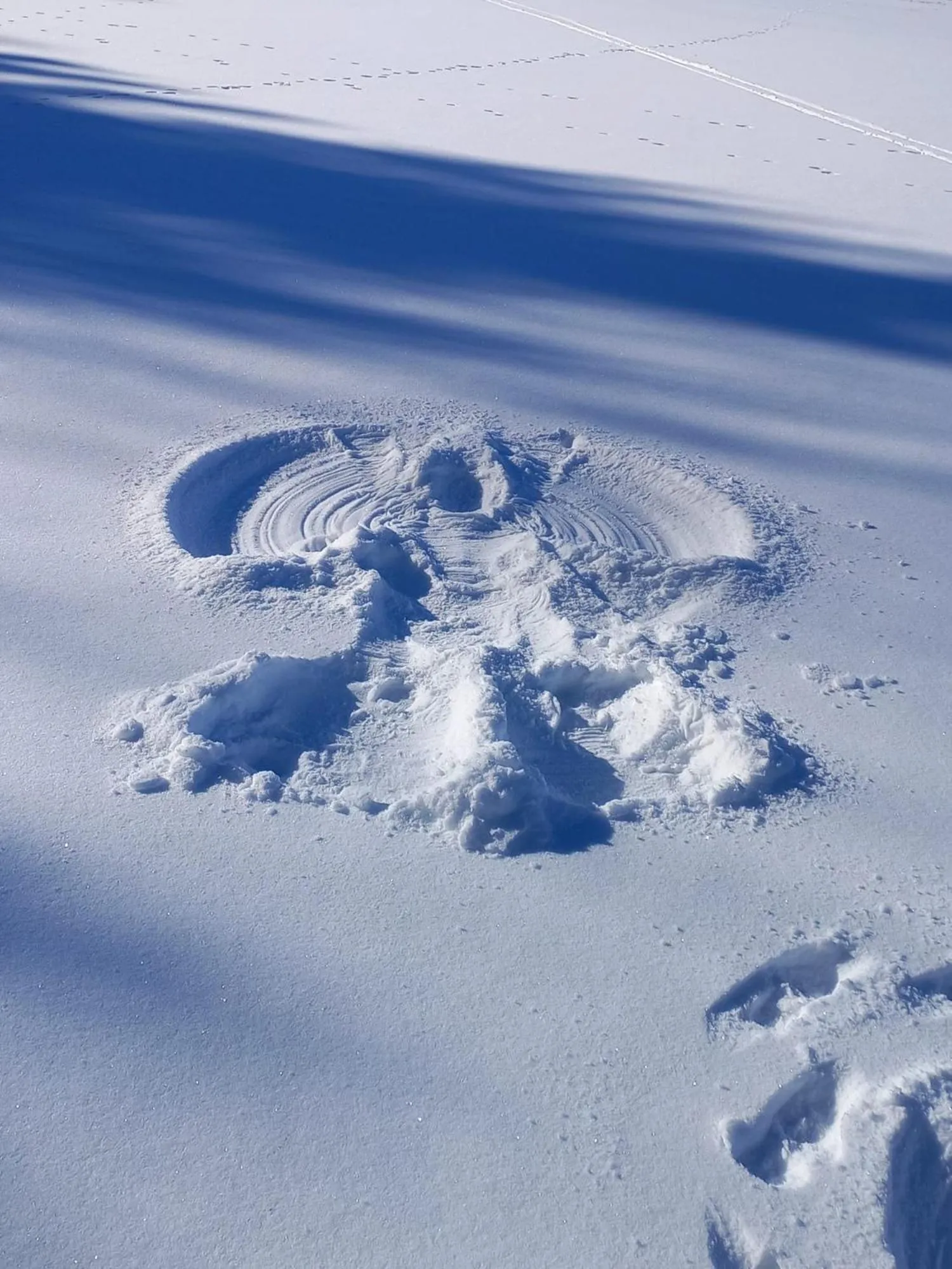 Winter in Berghotel Talblick