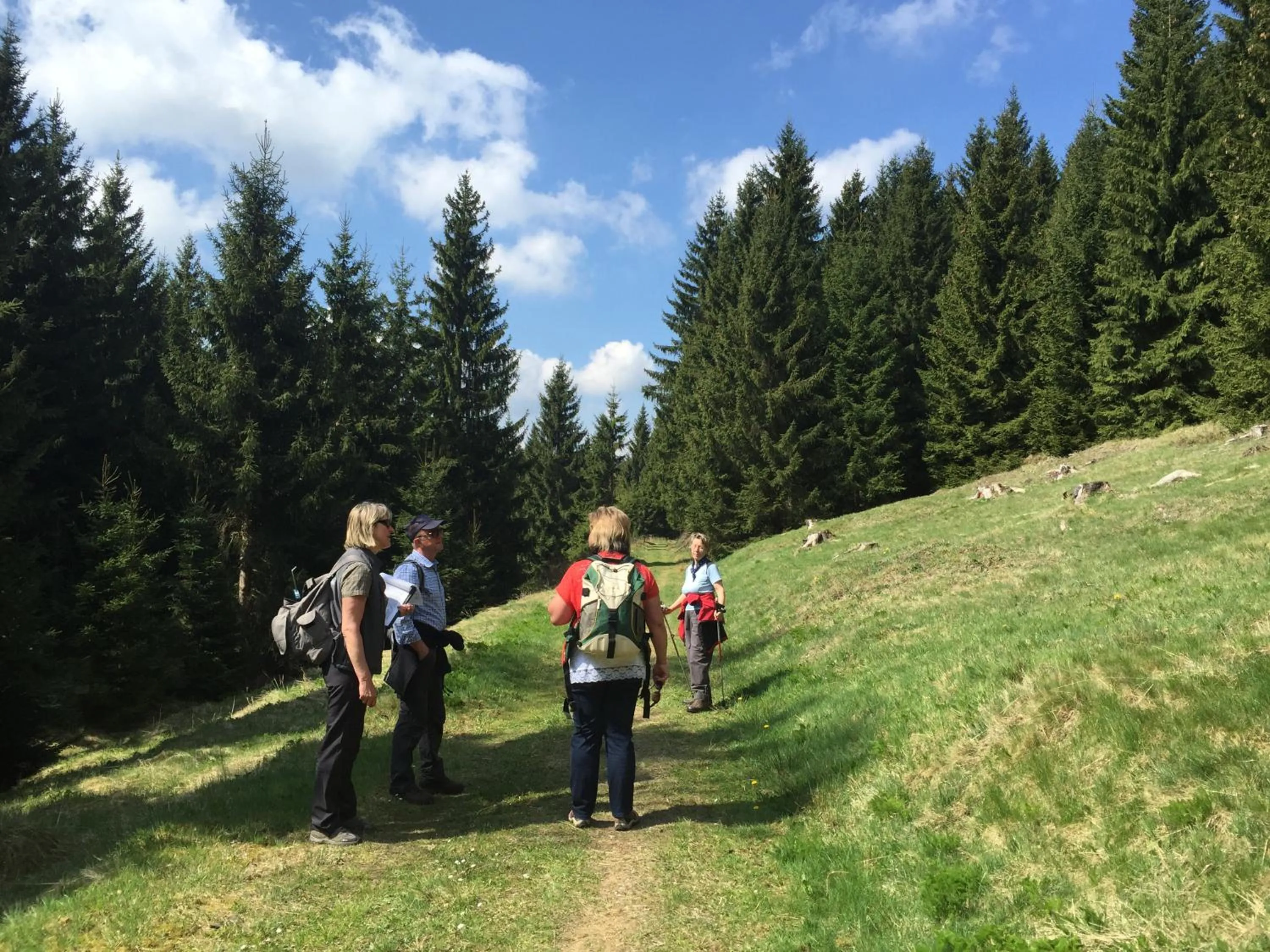 Hiking in Berghotel Talblick