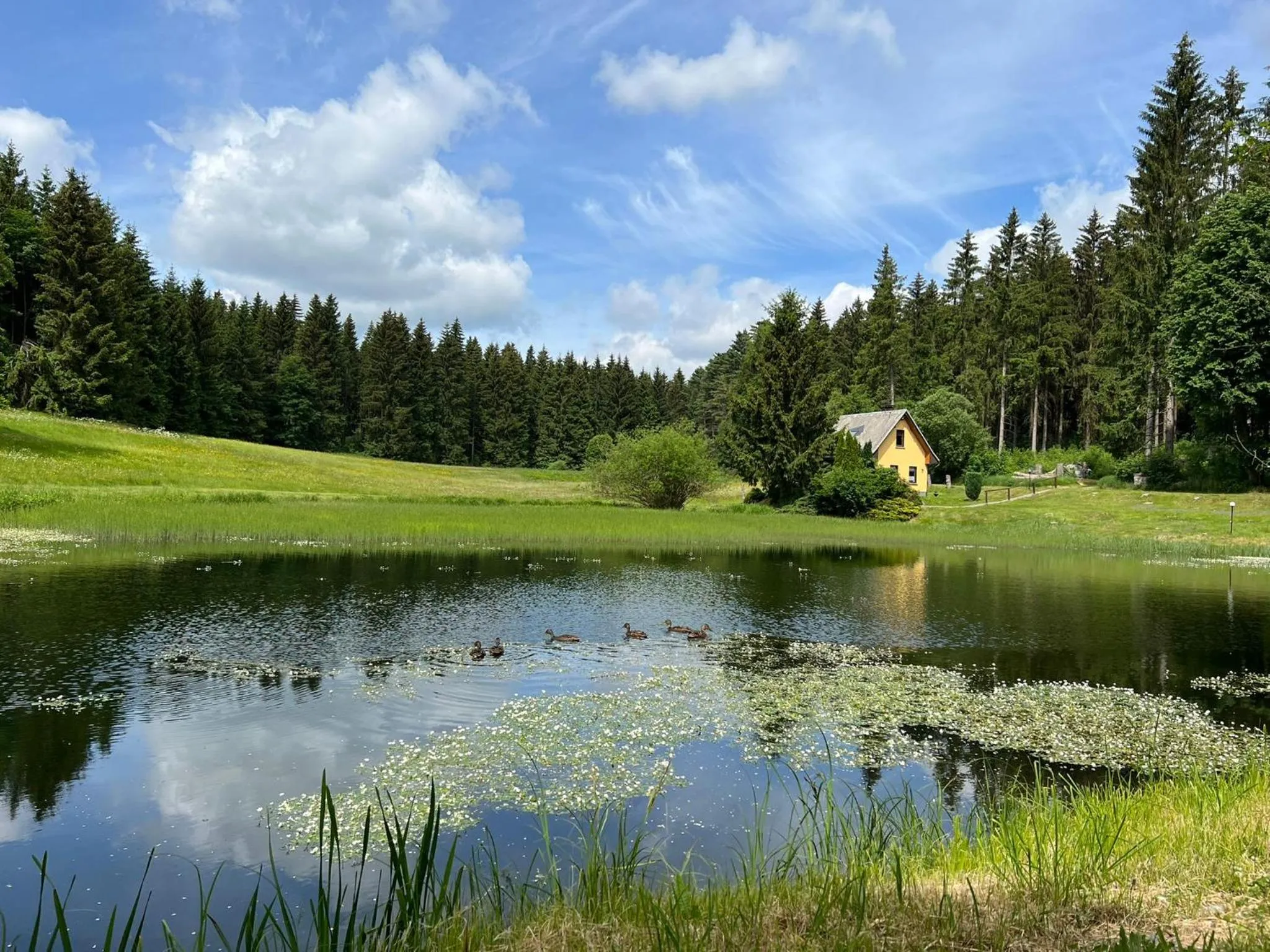 Hiking in Berghotel Talblick