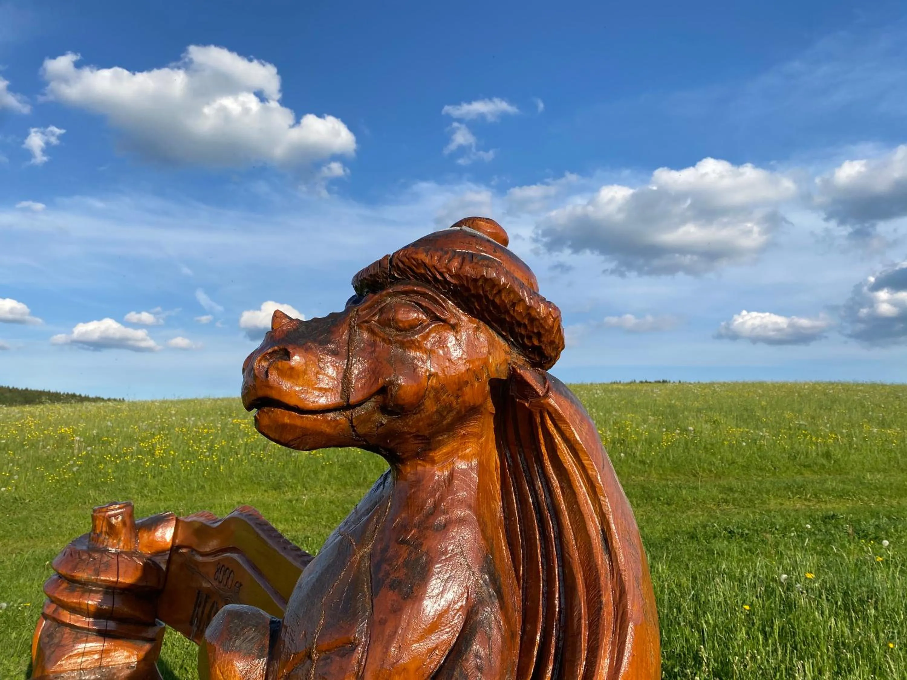 Cycling in Berghotel Talblick