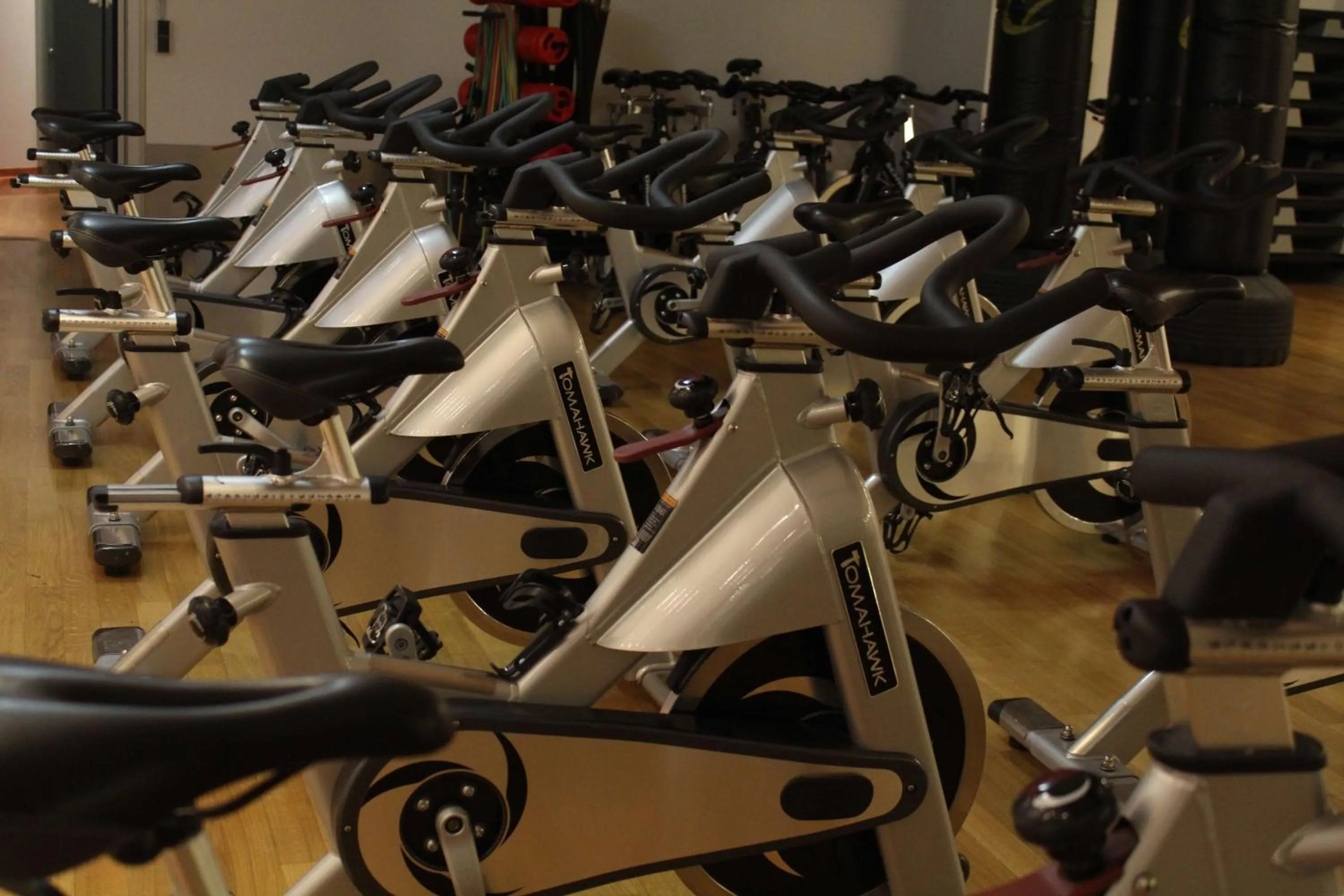 Activities in Hotel Schwanen Stuttgart Airport/Messe