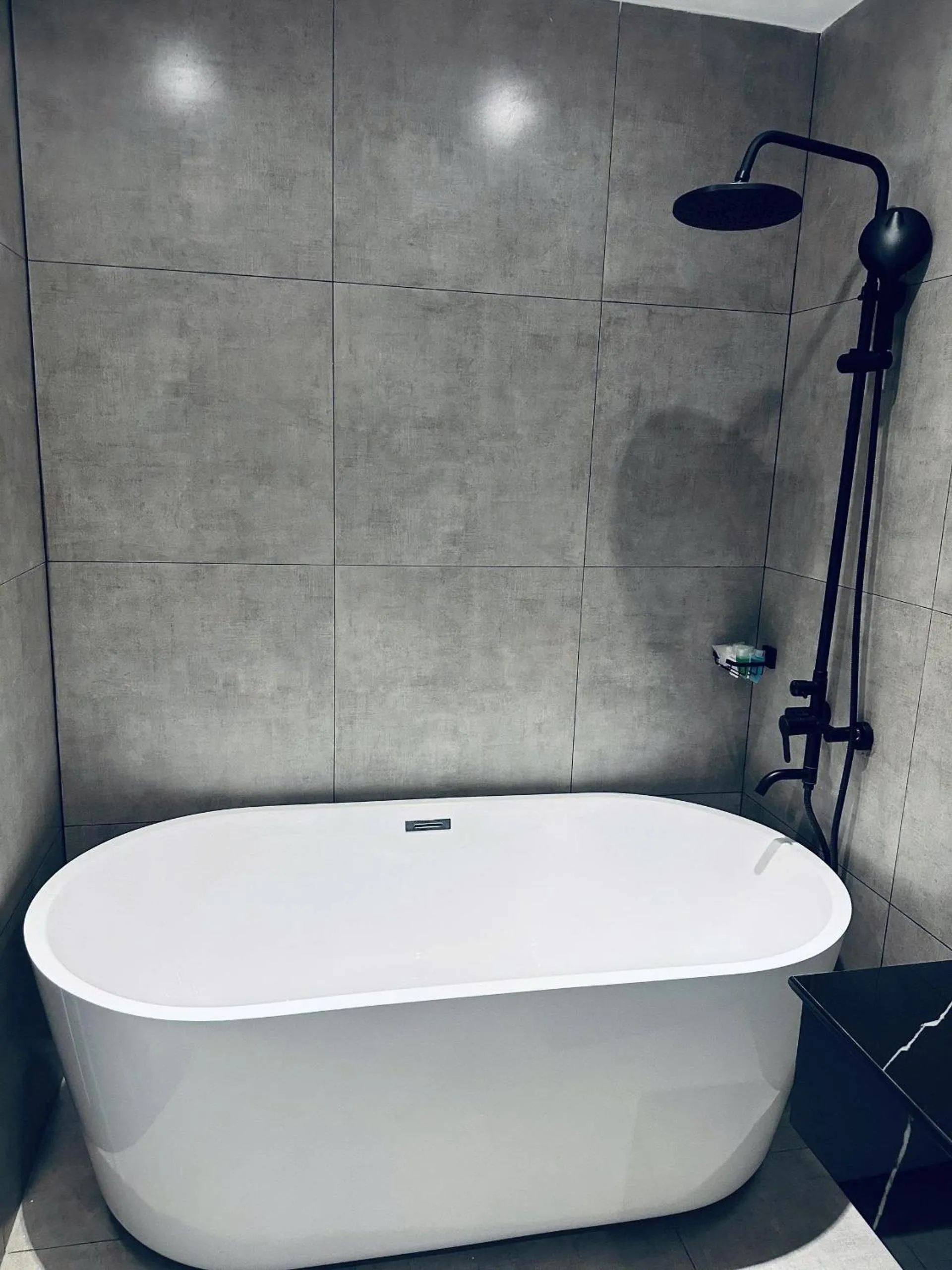 Shower in LION HOTEL