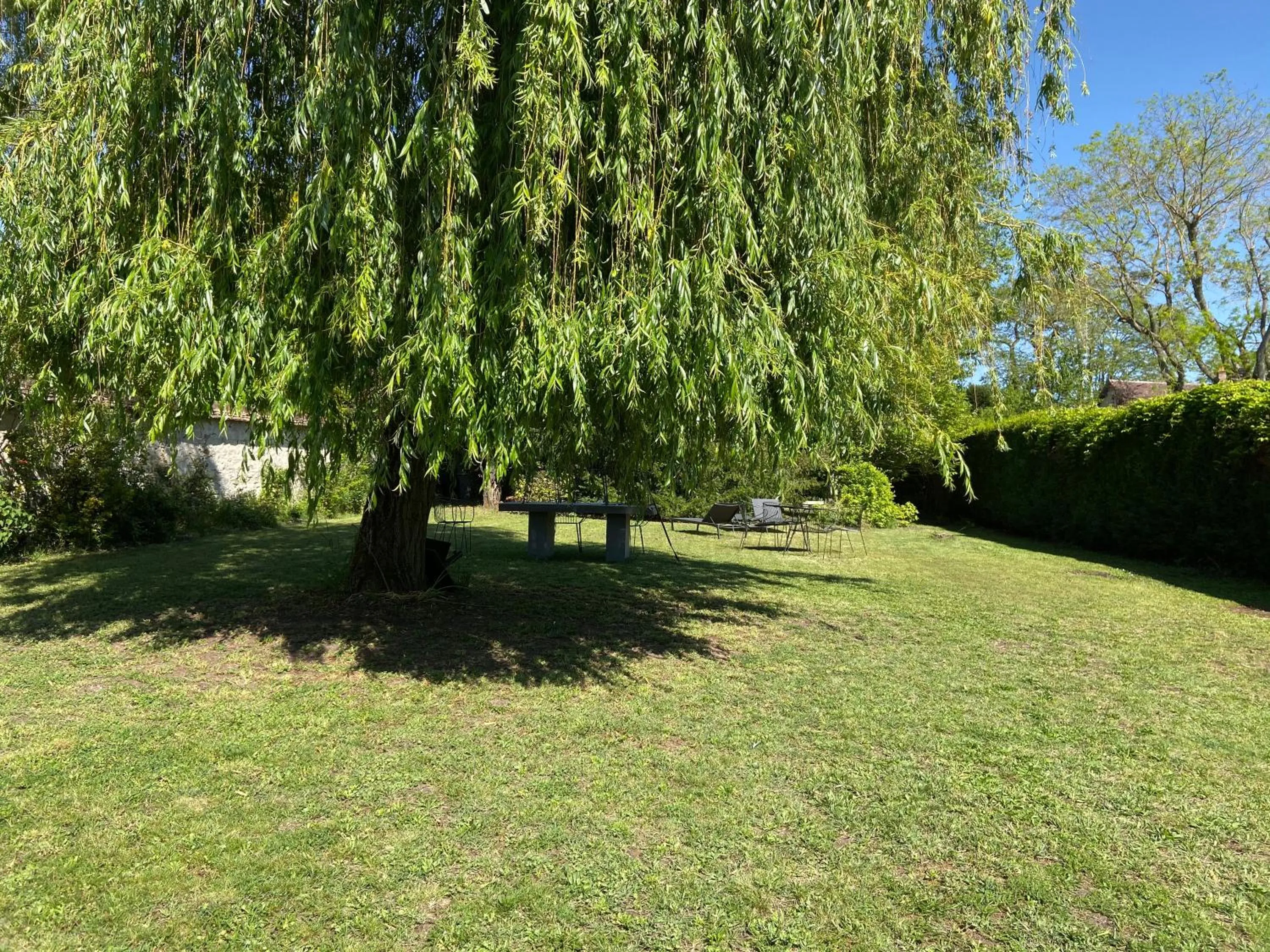 Cocon en lisière de forêt