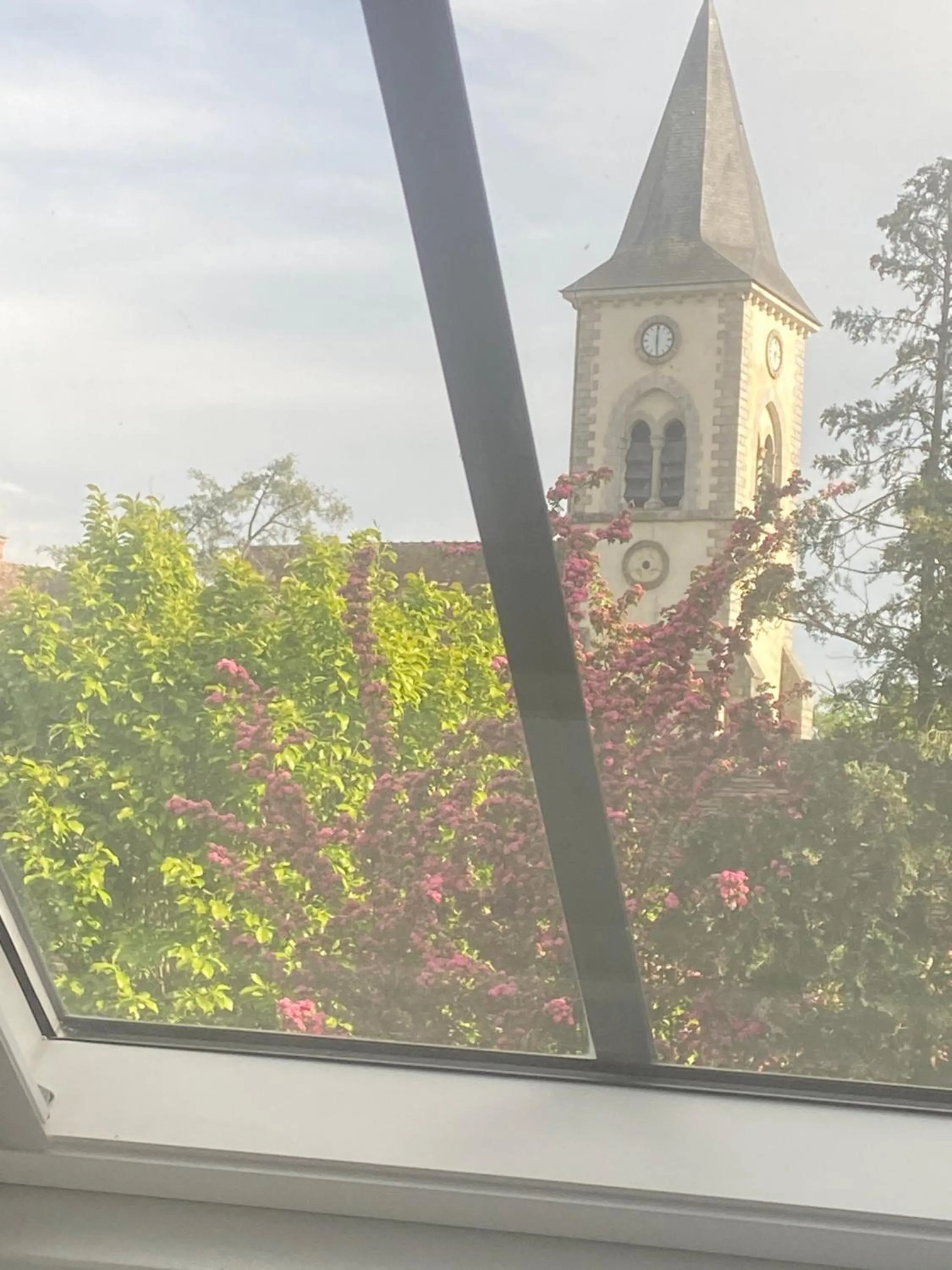 Cocon en lisière de forêt