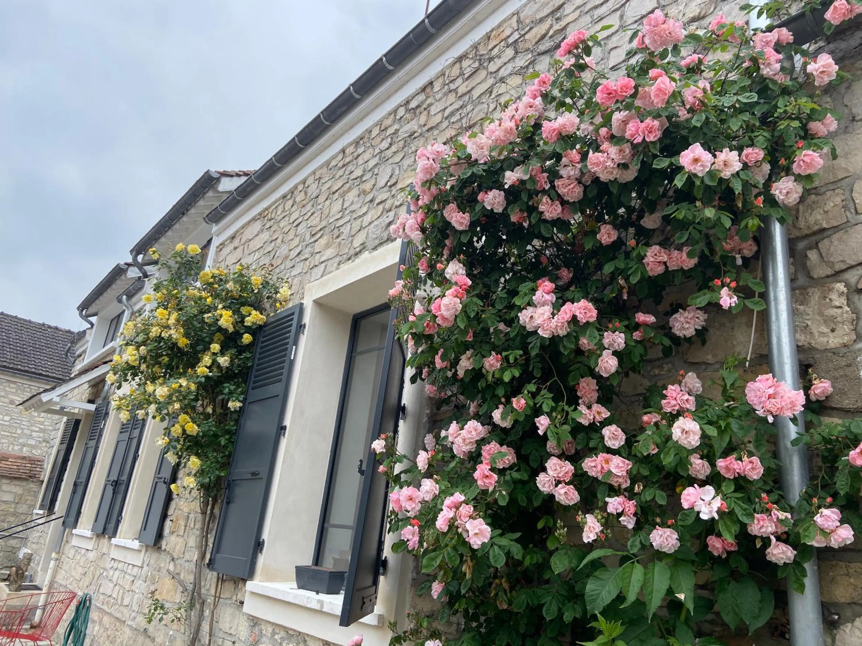 Cocon en lisière de forêt