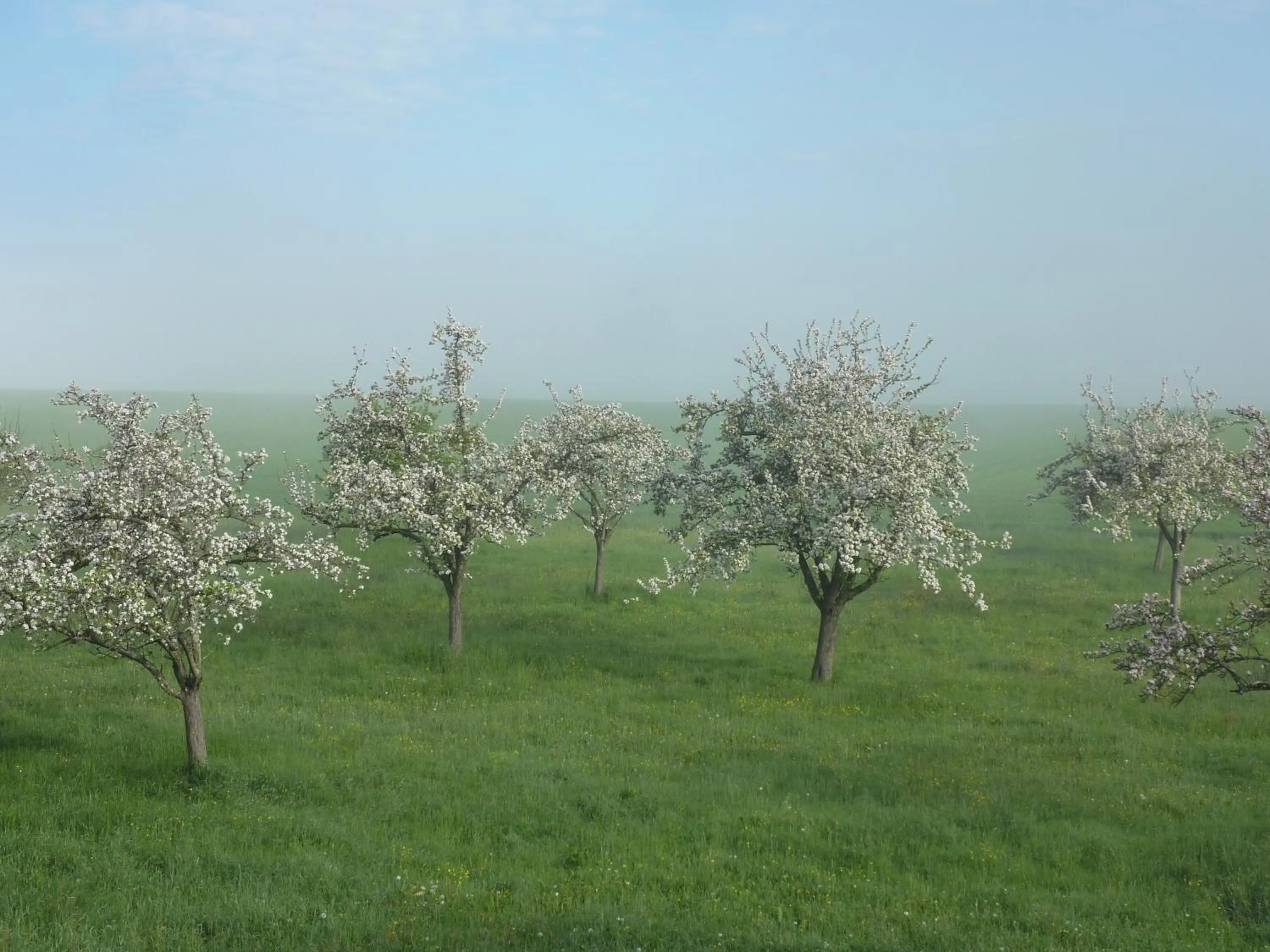 Natural landscape in Domaine de l'Etre