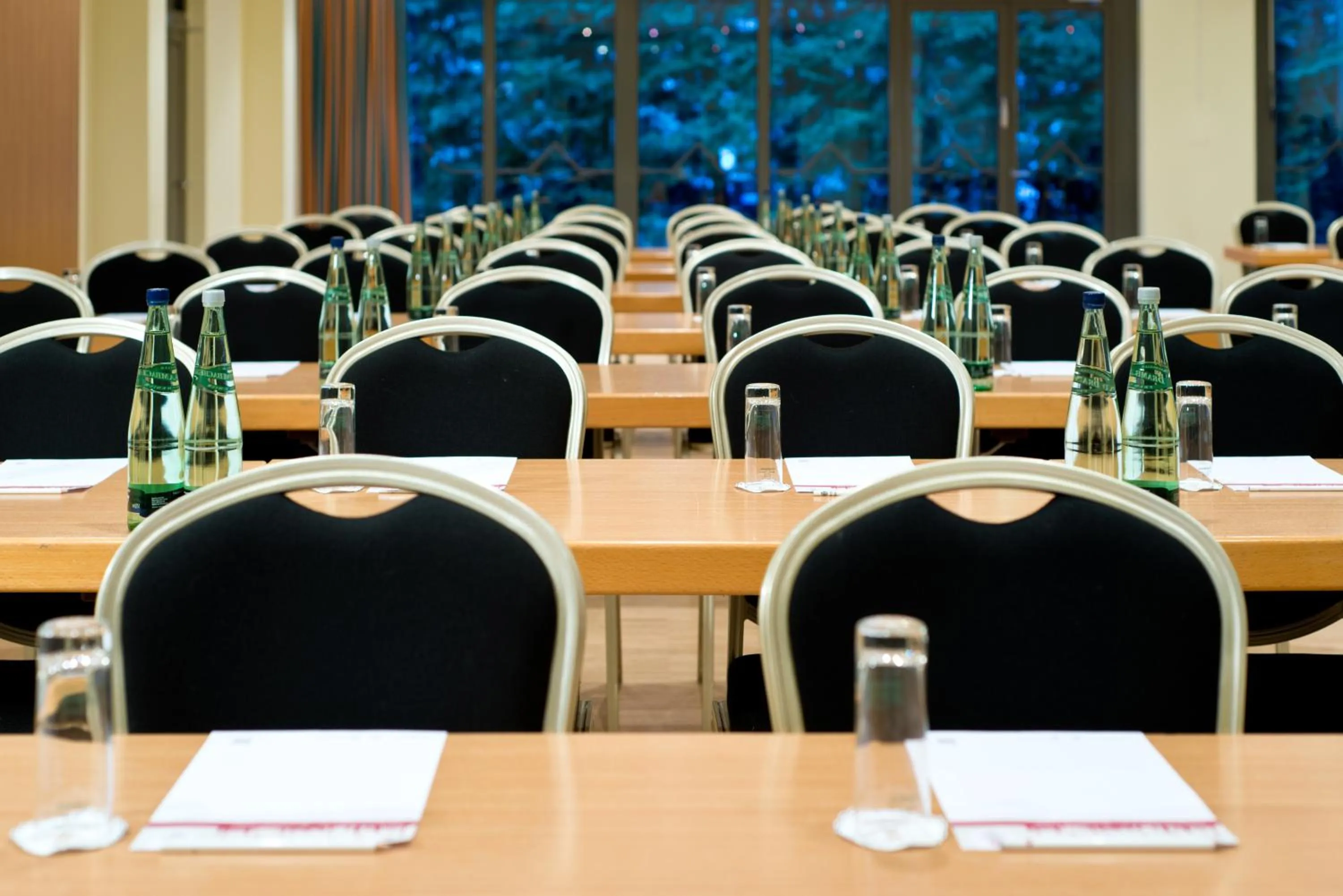 Business facilities in martas Hotel Lutherstadt Wittenberg