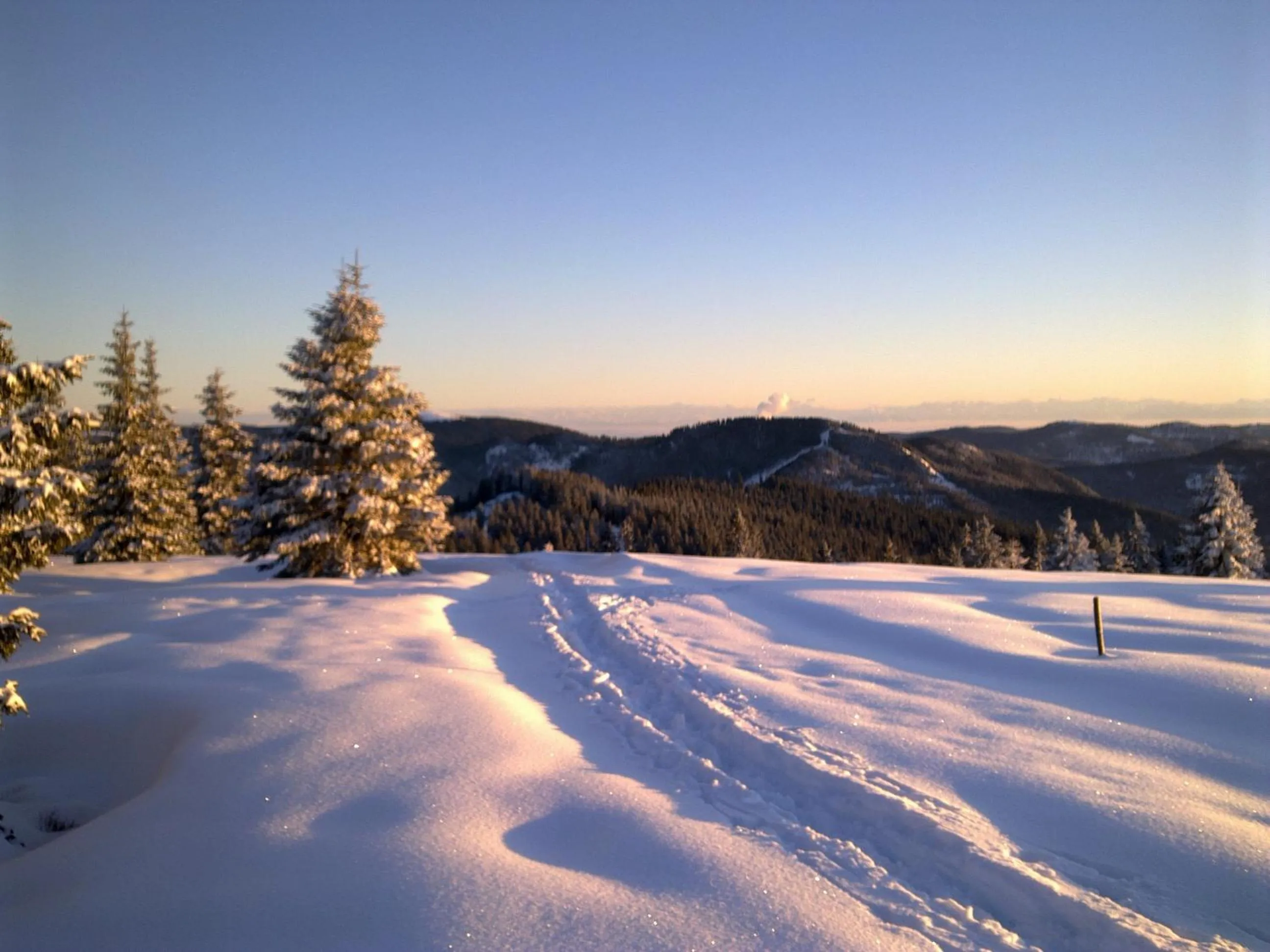 Day in Das Waldhotel - Genuss & Wellness am Notschreipass