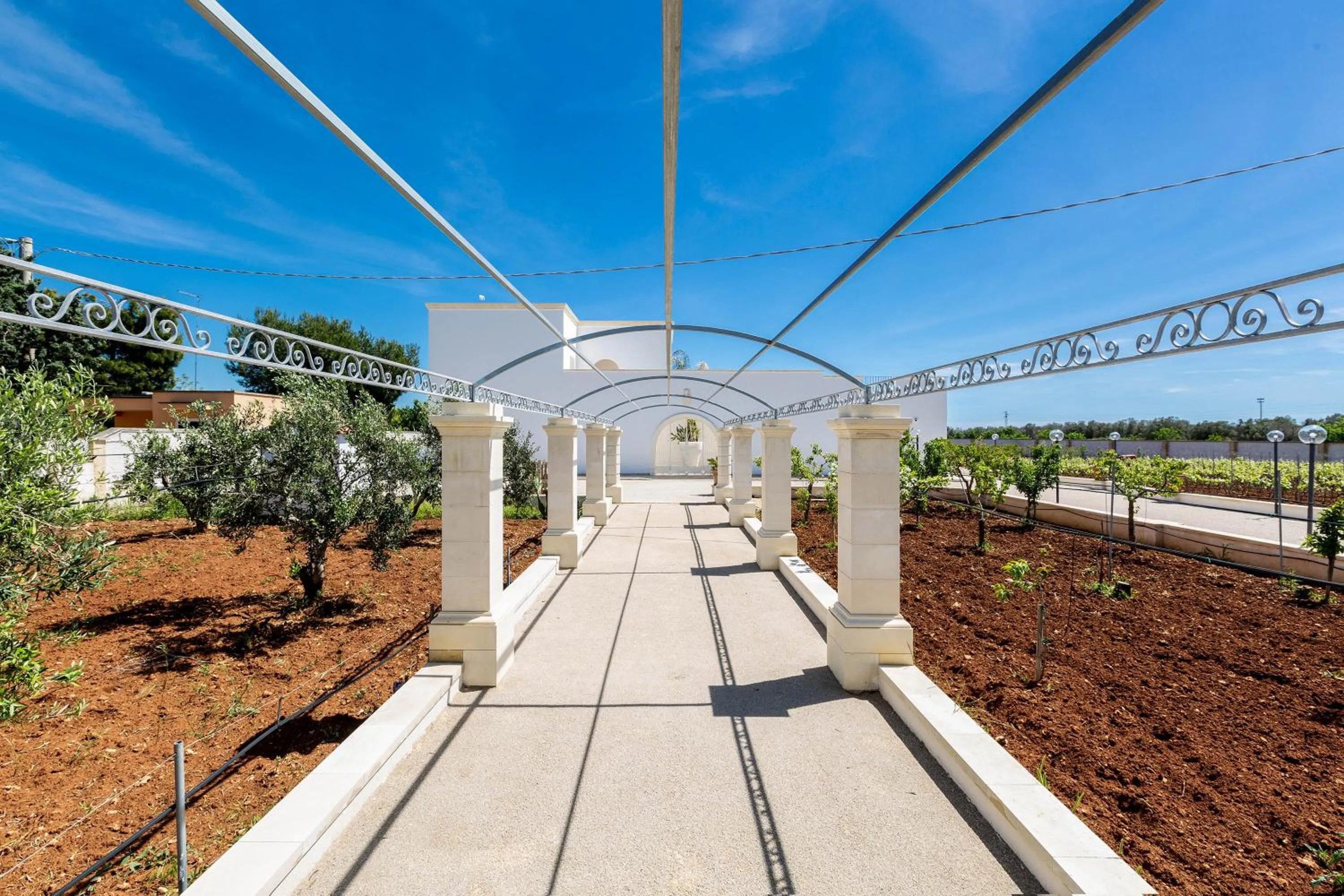 Other in B&B I Tarocchi