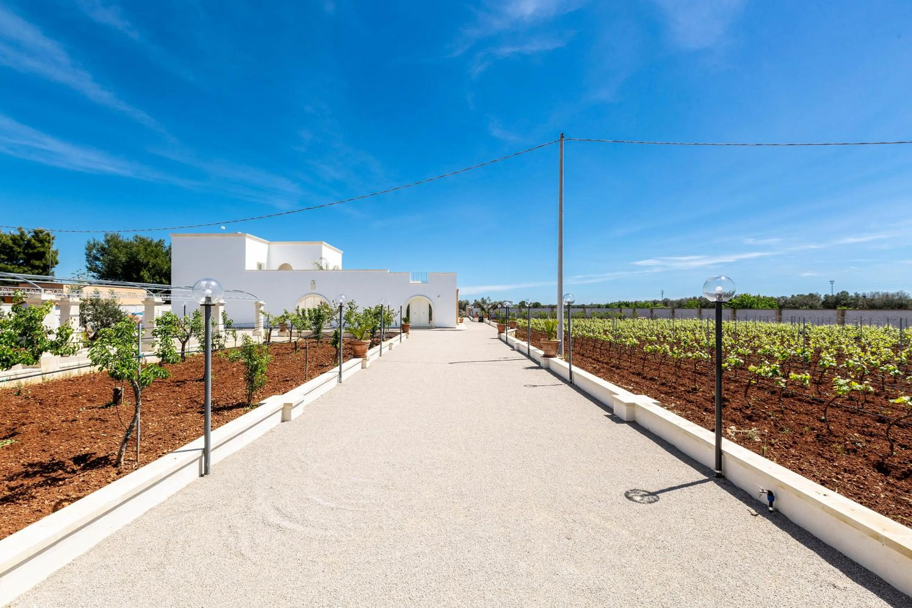 Other in B&B I Tarocchi