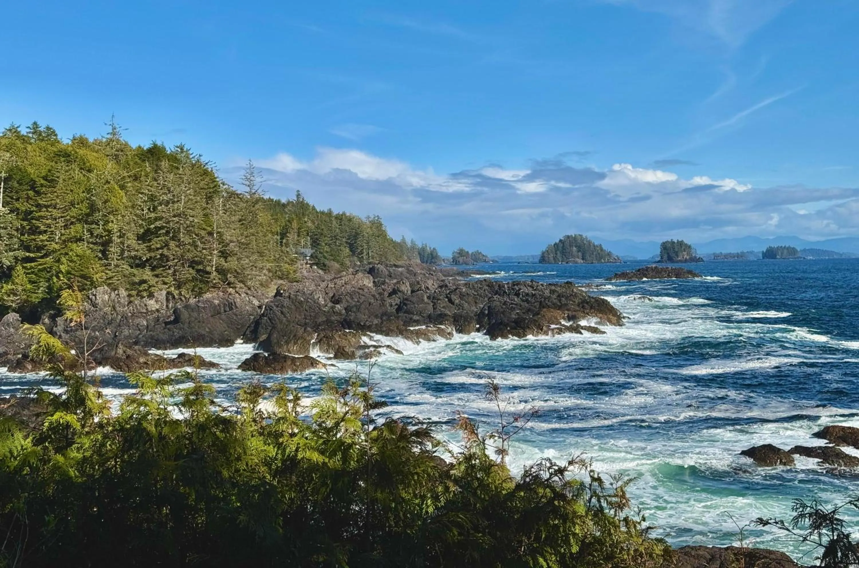 Natural landscape in The Moorage