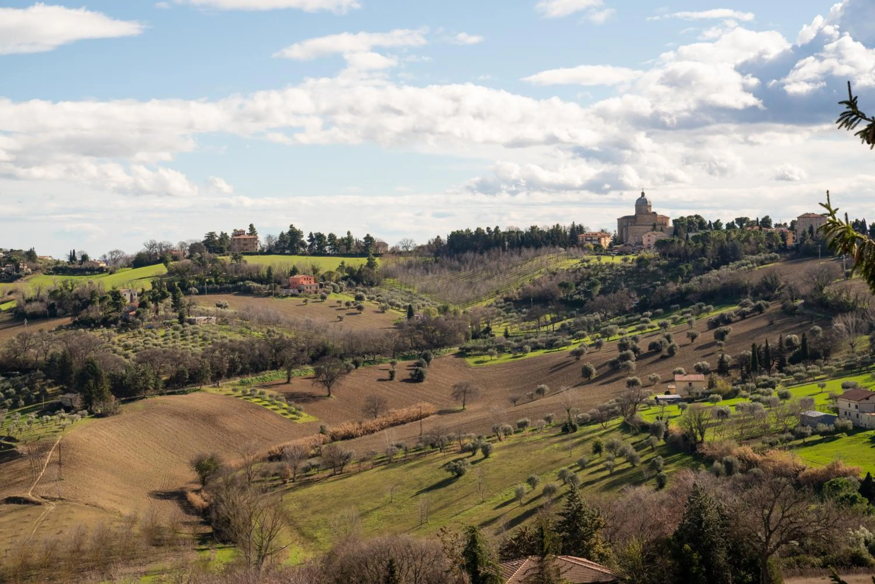 Garden view in Residence Sferisterio