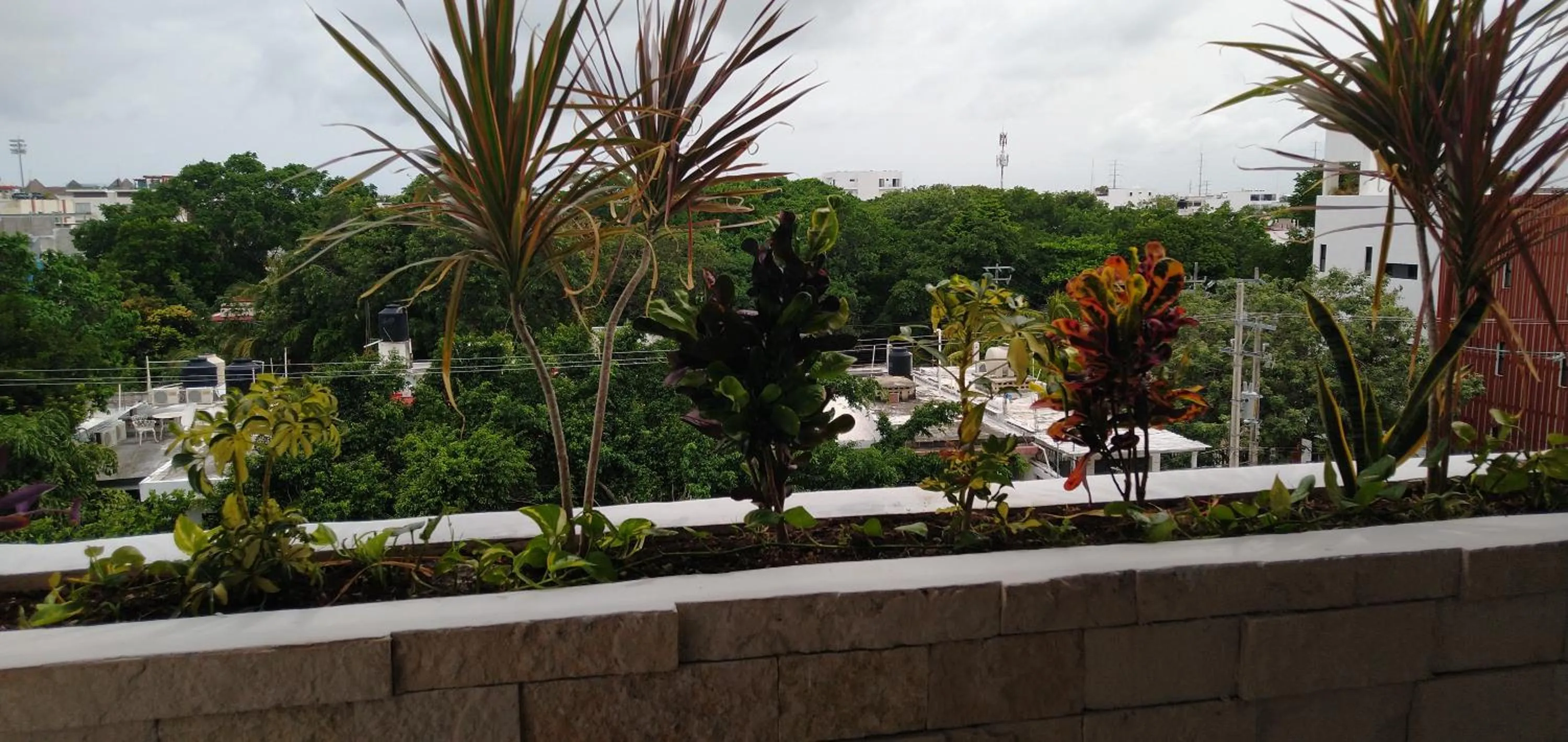 Balcony/Terrace in Suites calle 38