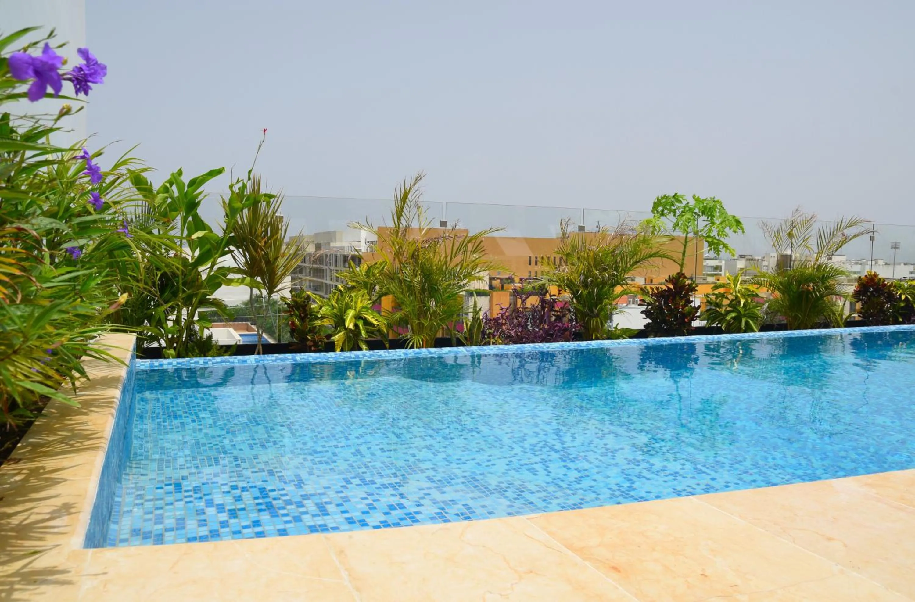 Swimming pool in Suites calle 38