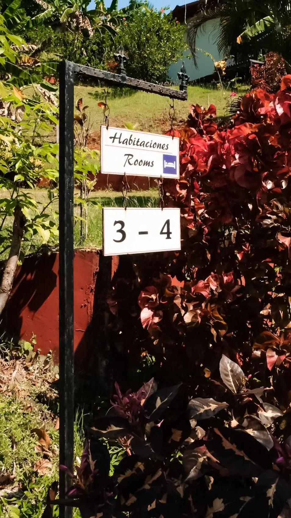 Garden view in Hotel Sol y Mar