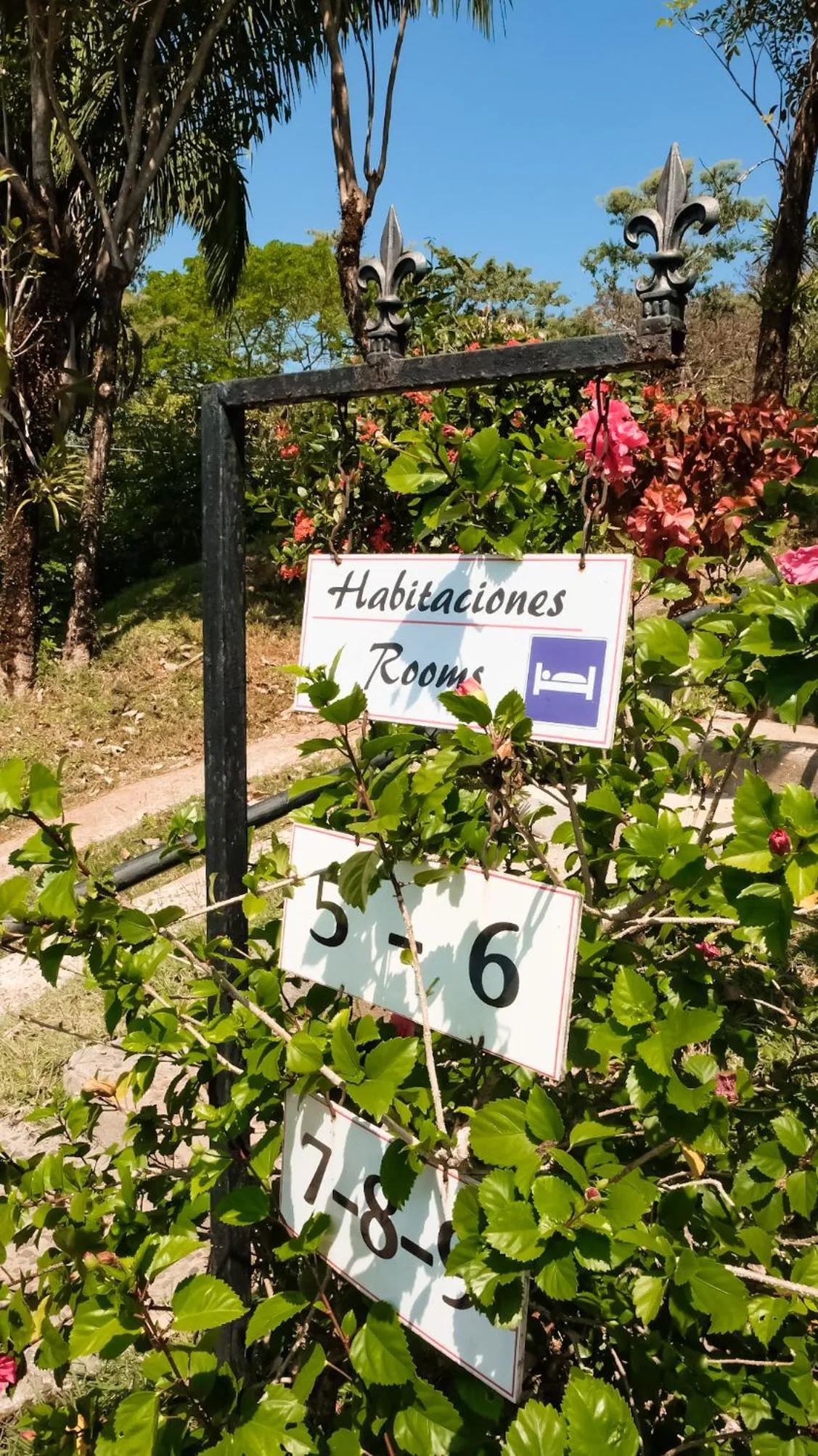 Garden view in Hotel Sol y Mar