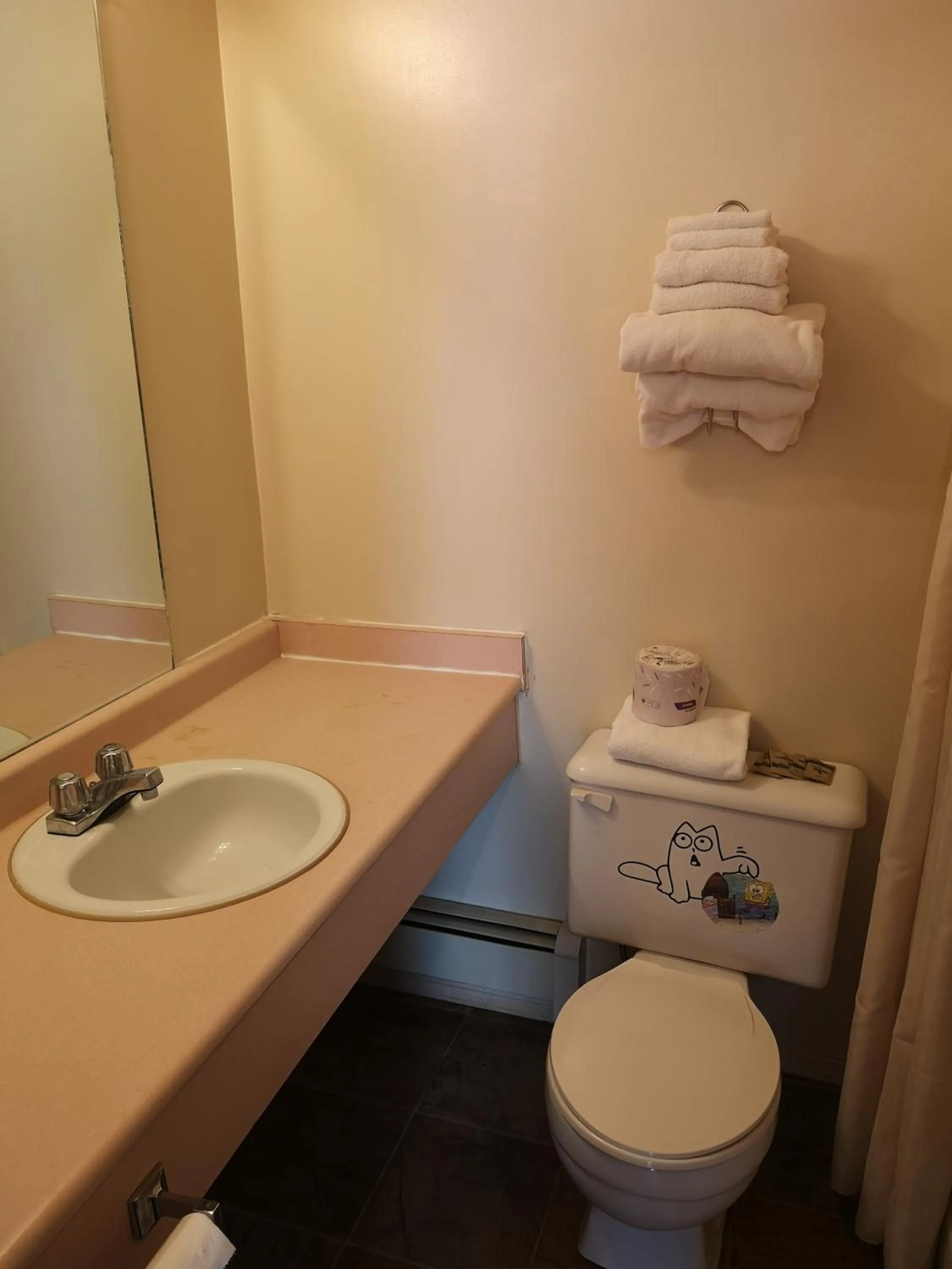 Bathroom in Ranchland Villa Motel