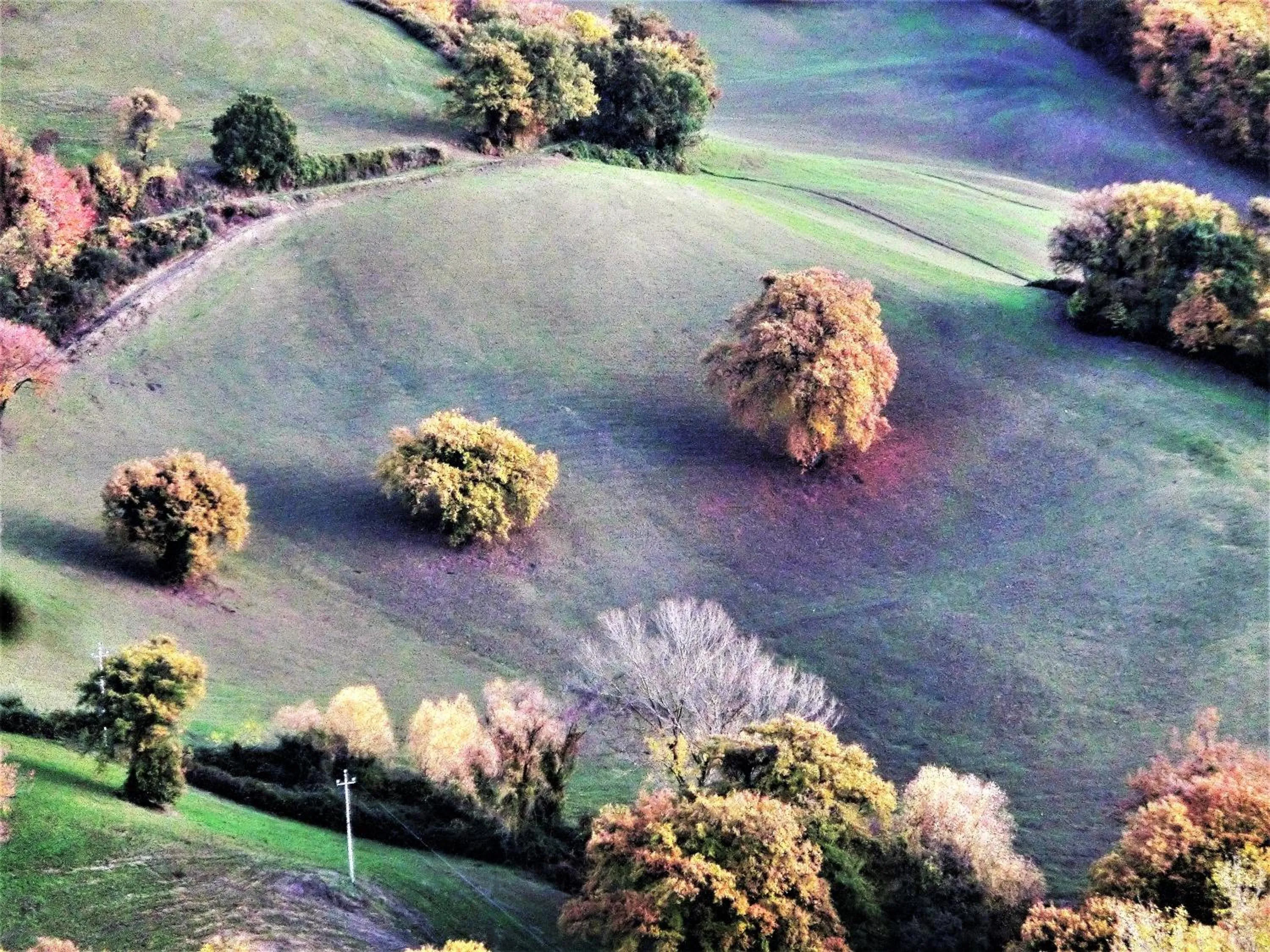 Natural landscape in Da Franca