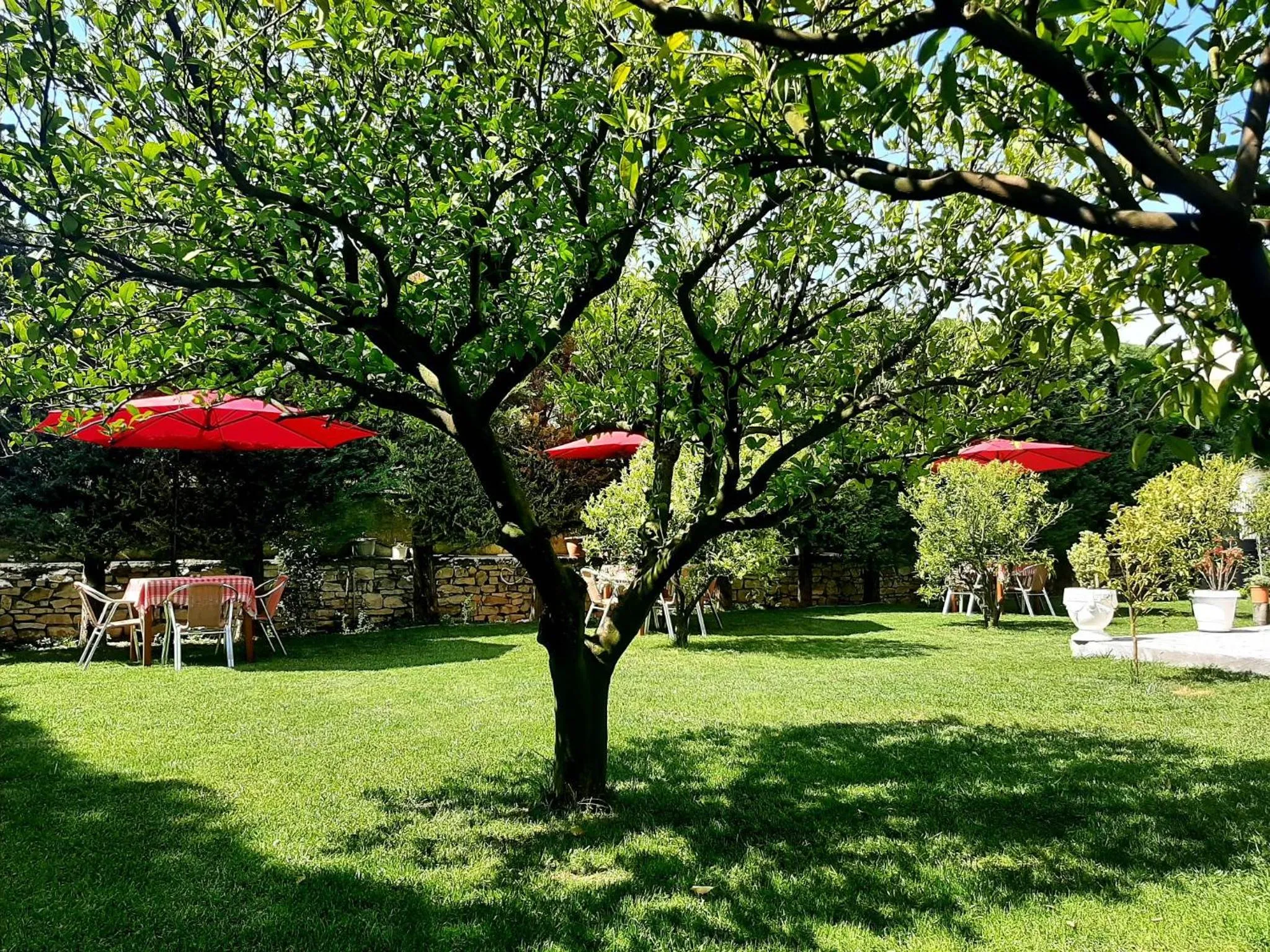 Property building in Hotel Vila Arbri