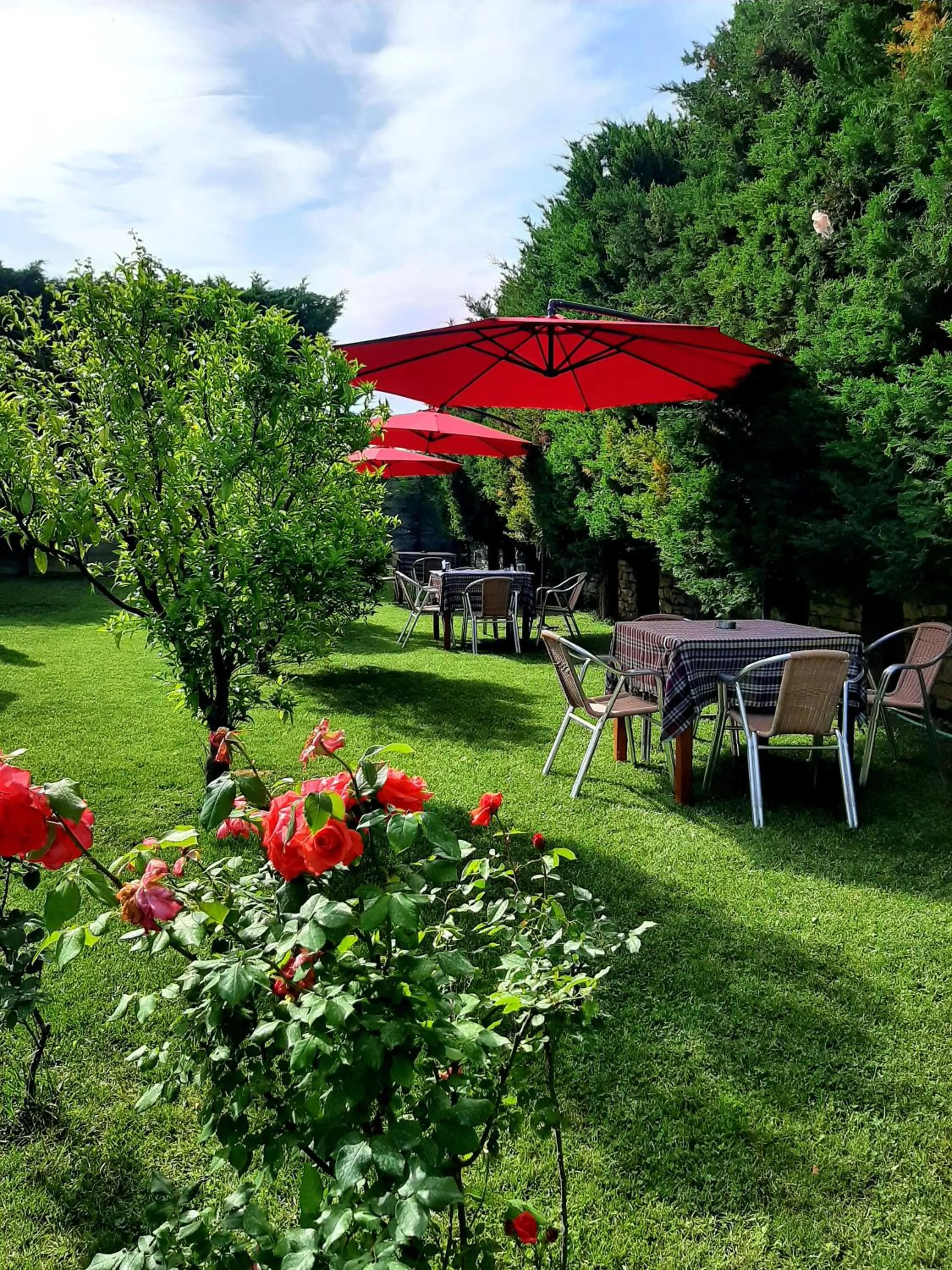 Garden in Hotel Vila Arbri
