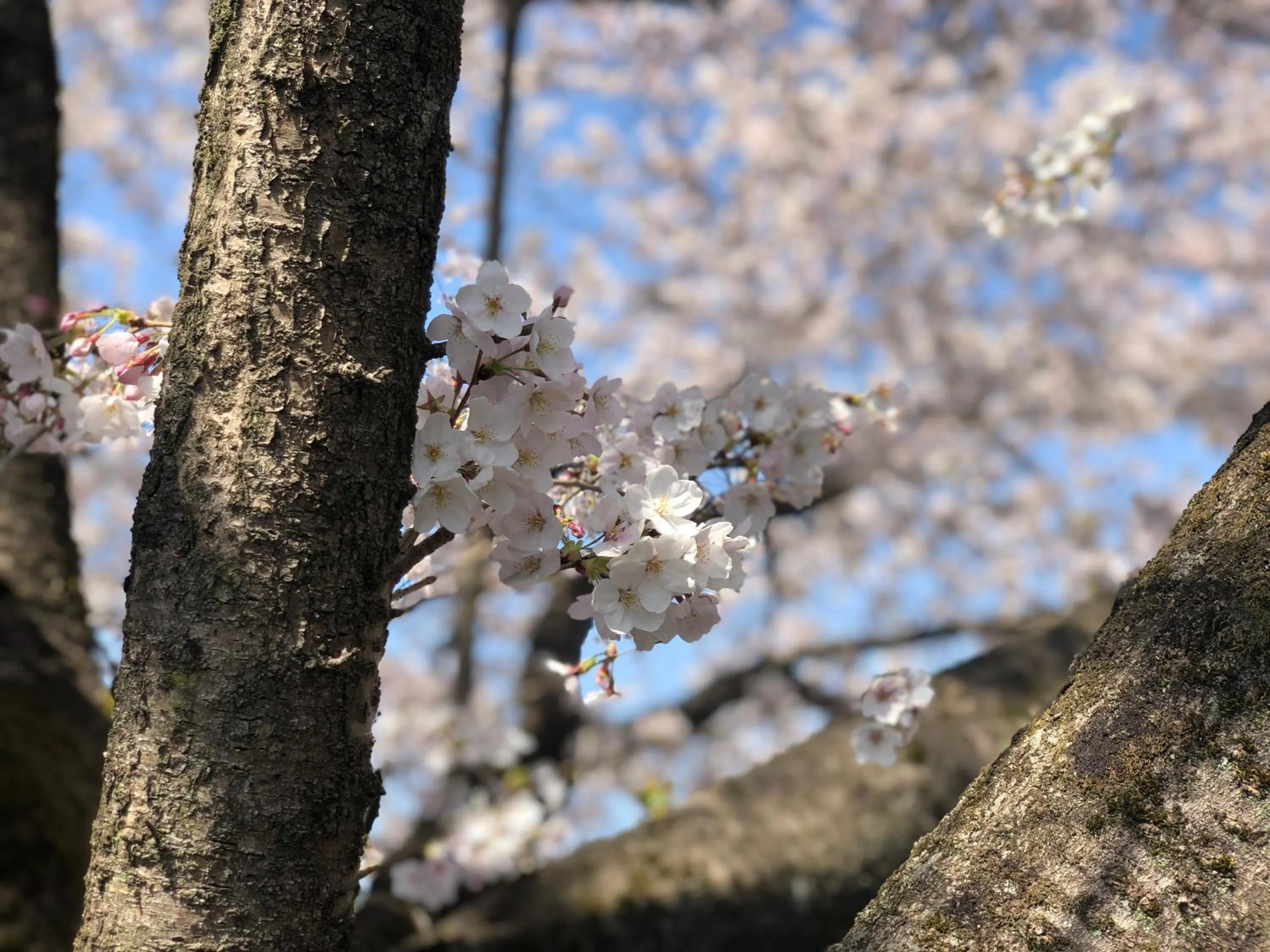 Natural landscape in Hotel Heritage