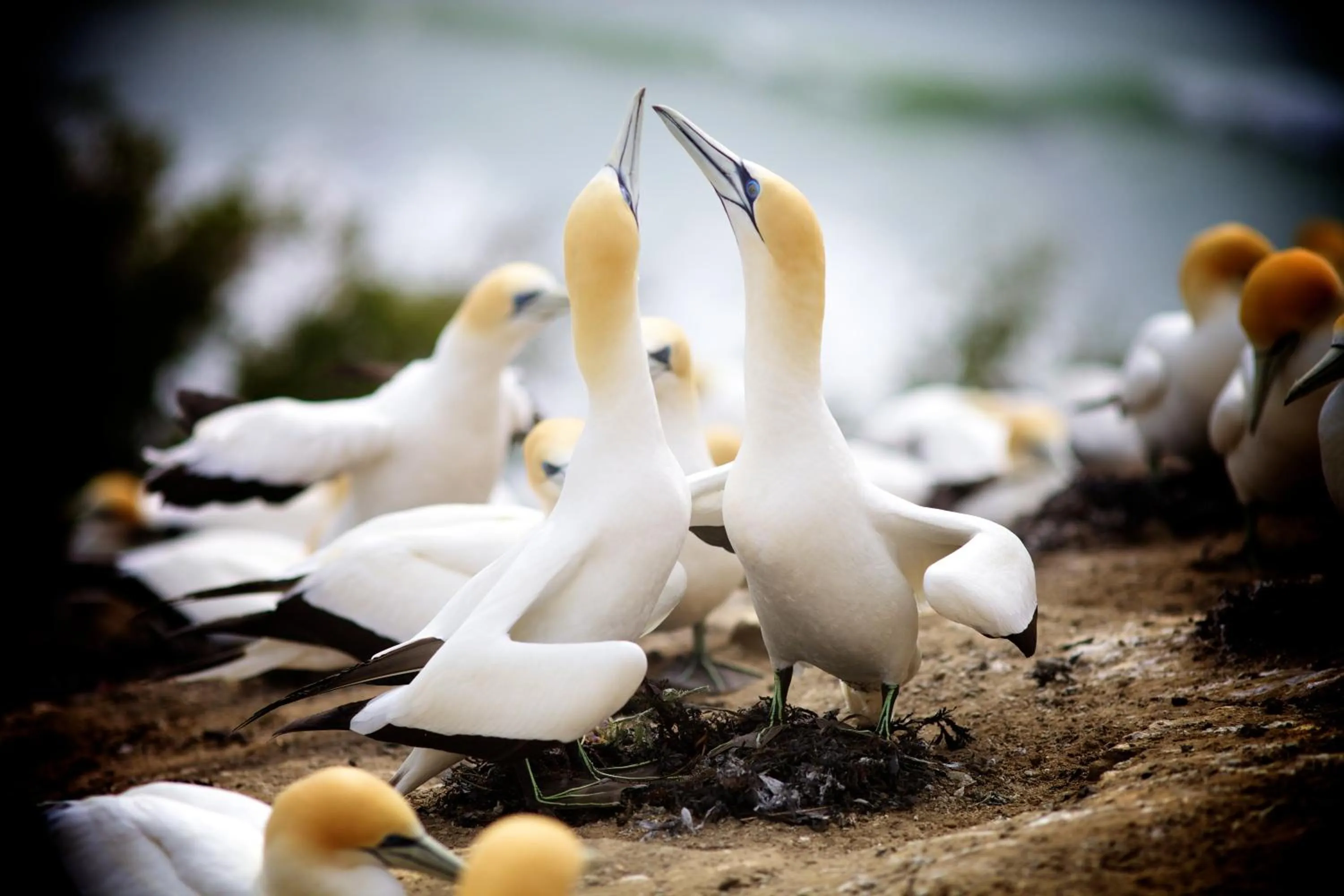 Stables Lodge Backpackers