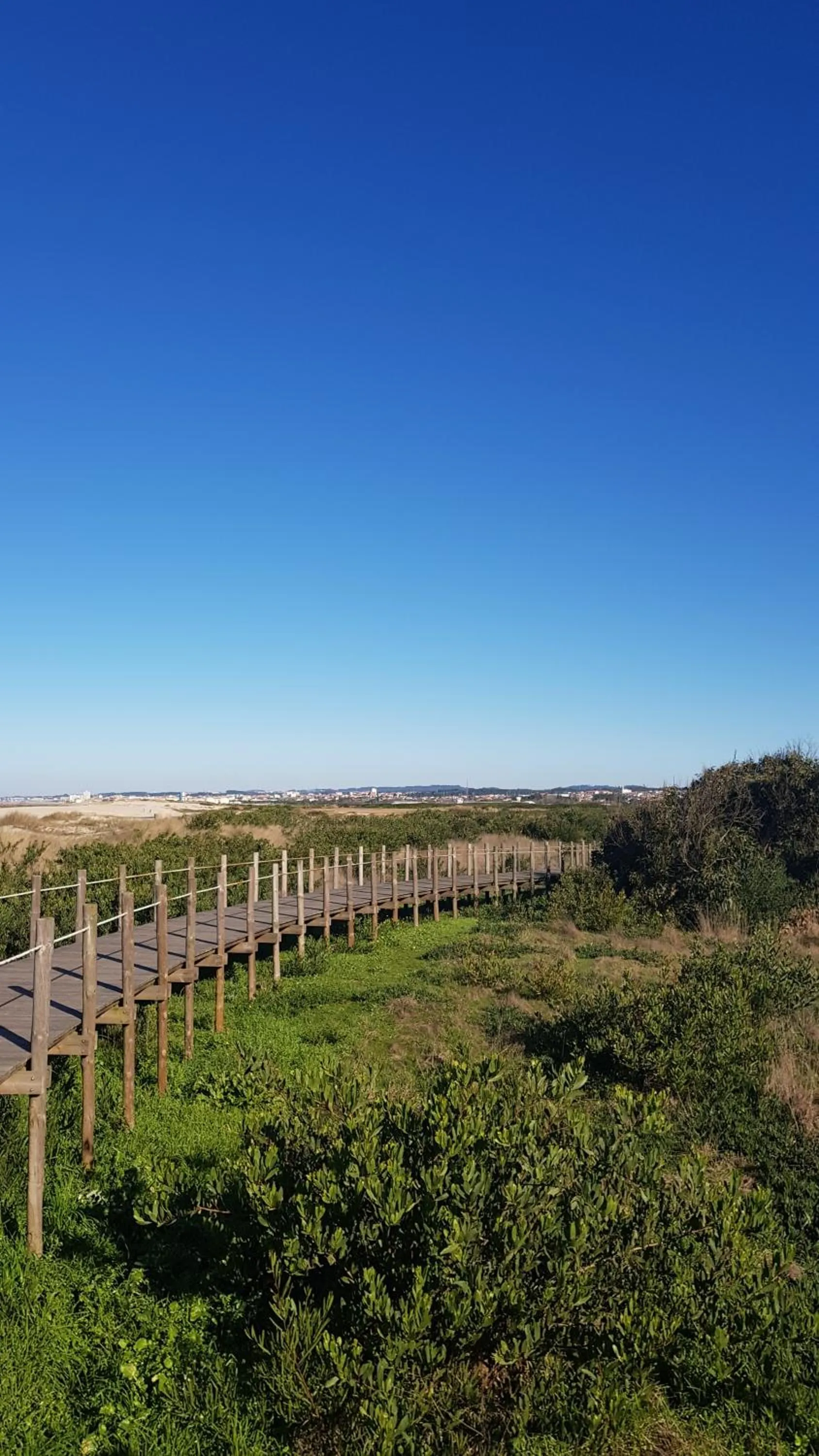 Natural landscape in Beachwalk guesthouse