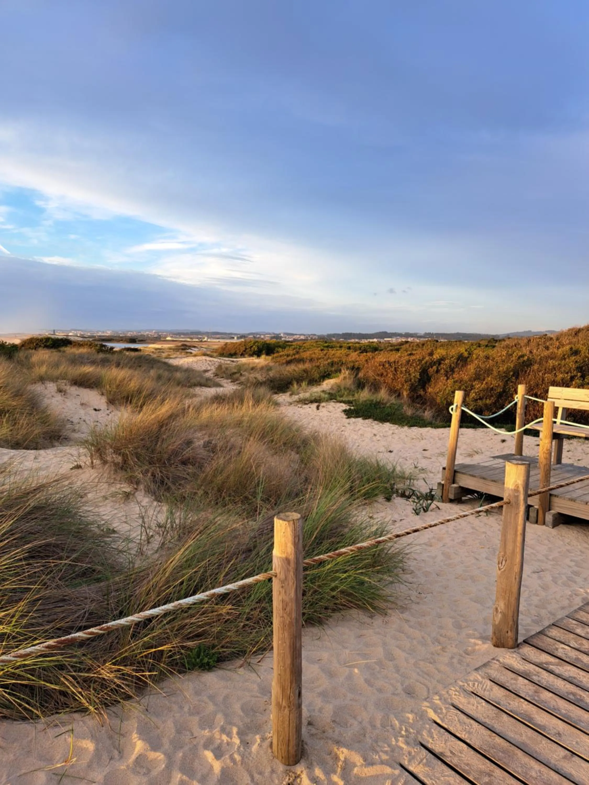 Natural landscape in Beachwalk guesthouse