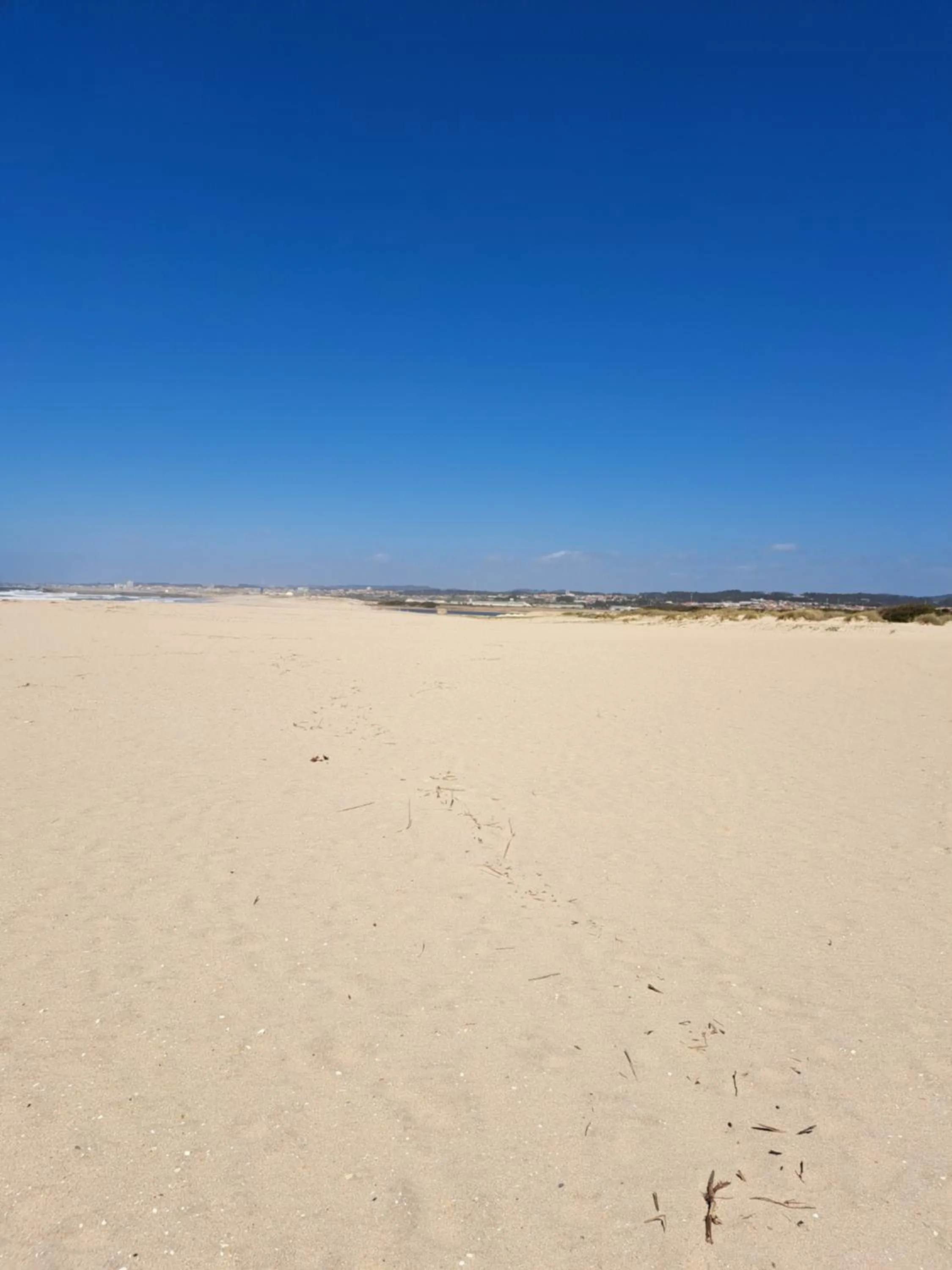 Natural landscape in Beachwalk guesthouse