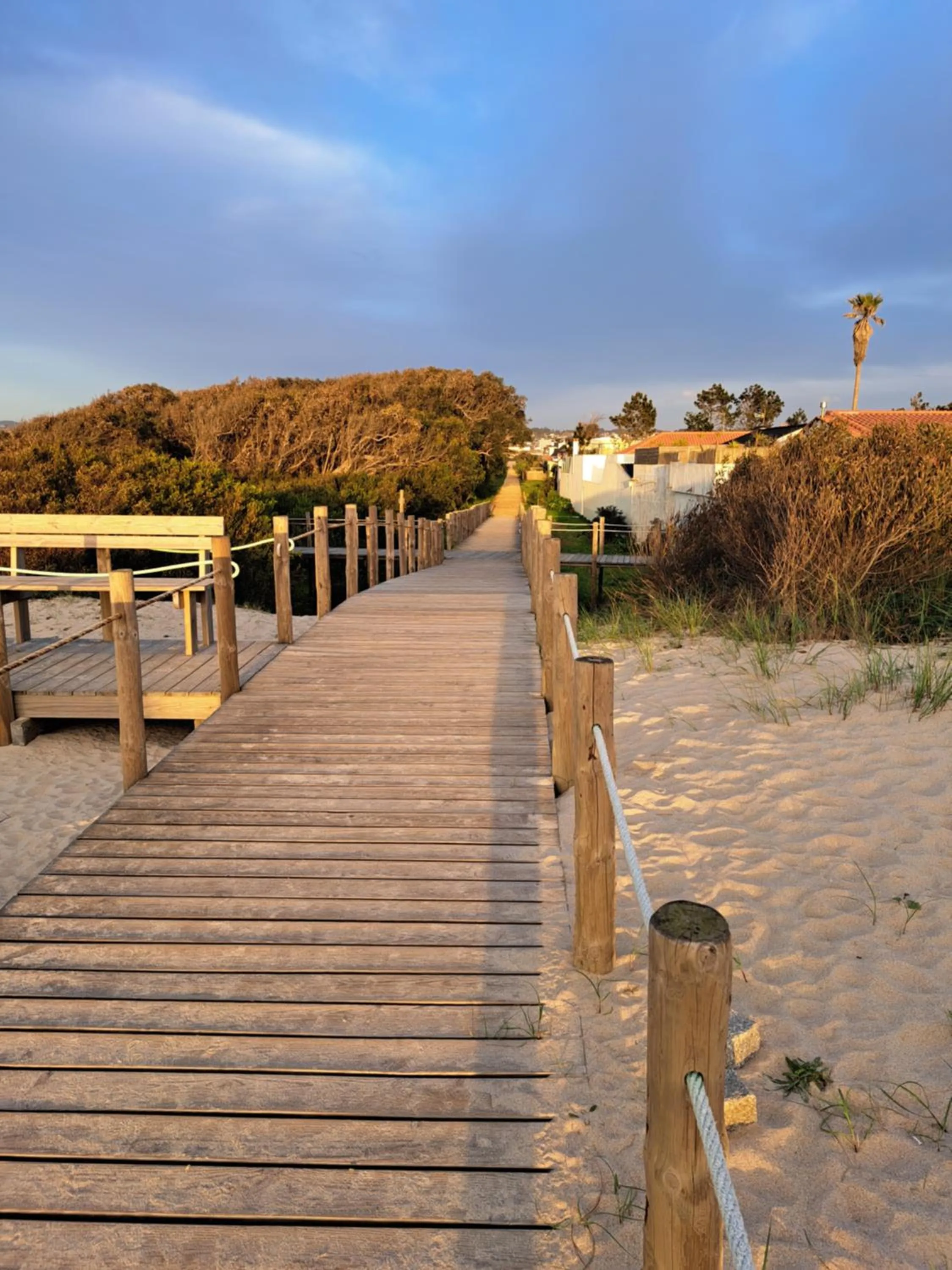 Natural landscape in Beachwalk guesthouse