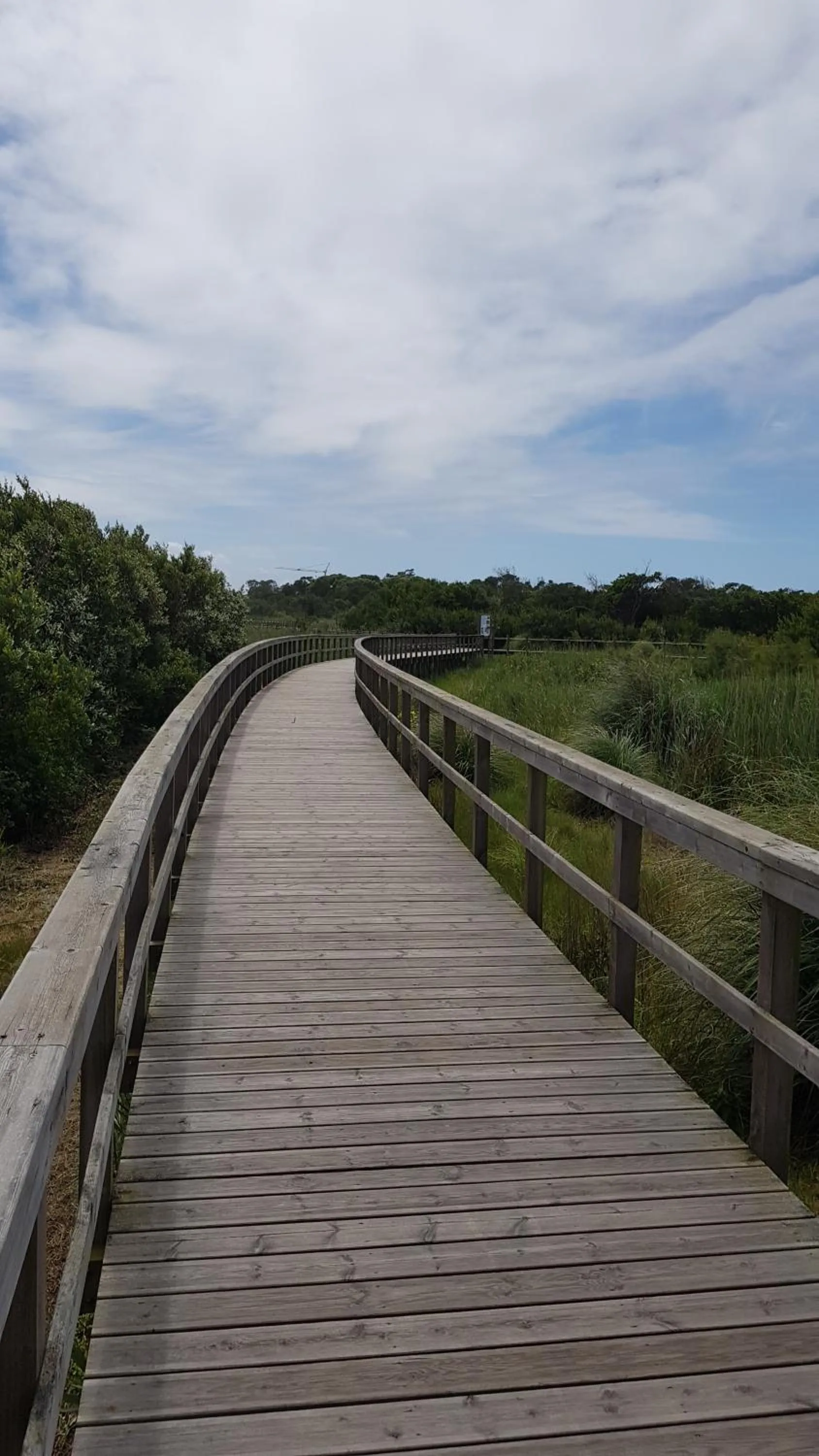 Natural landscape in Beachwalk guesthouse