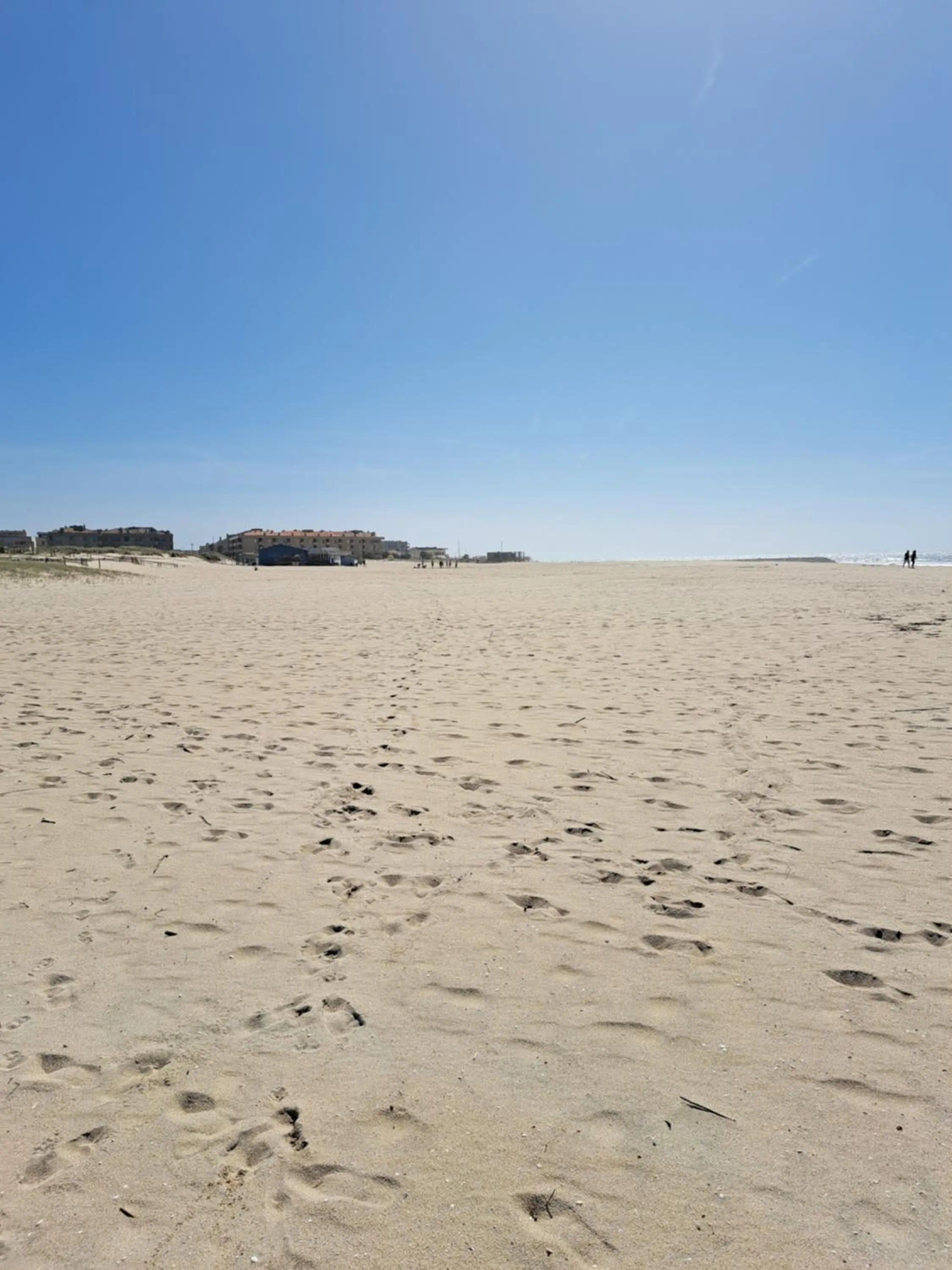 Natural landscape in Beachwalk guesthouse