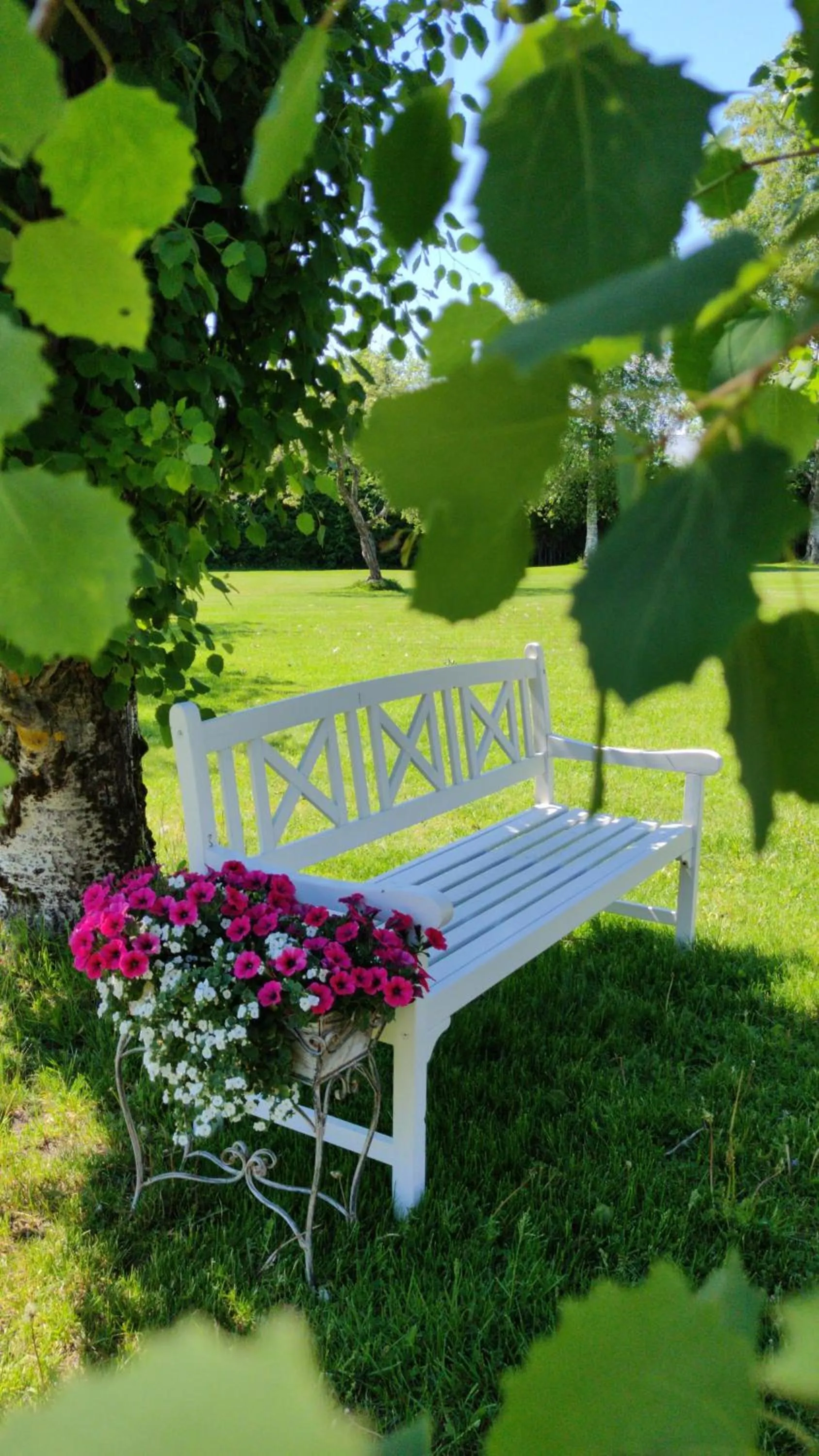 Garden in Kartanomajoitus Sofia & Angelique