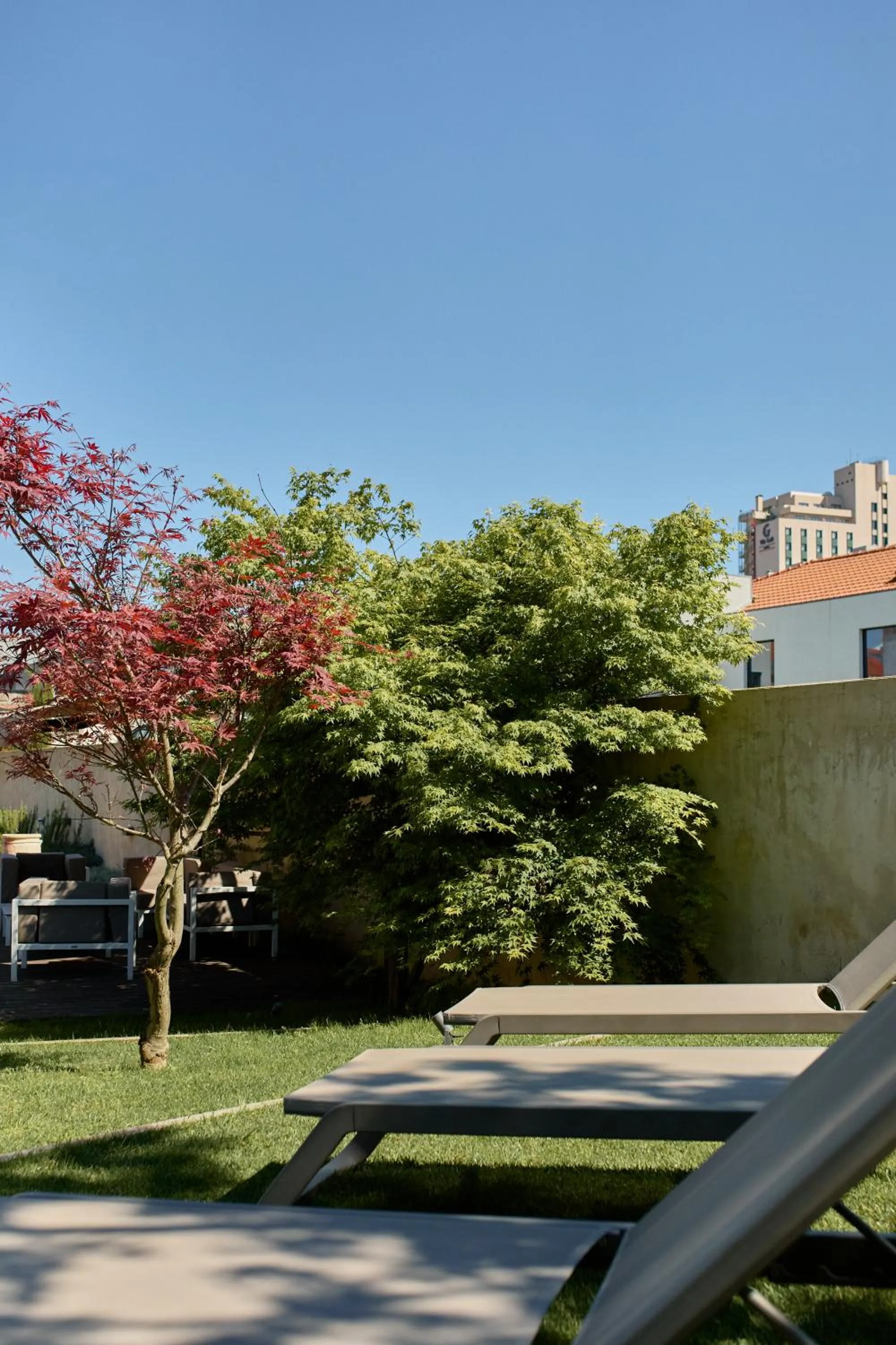 Garden in Oporto Maison Anselmo