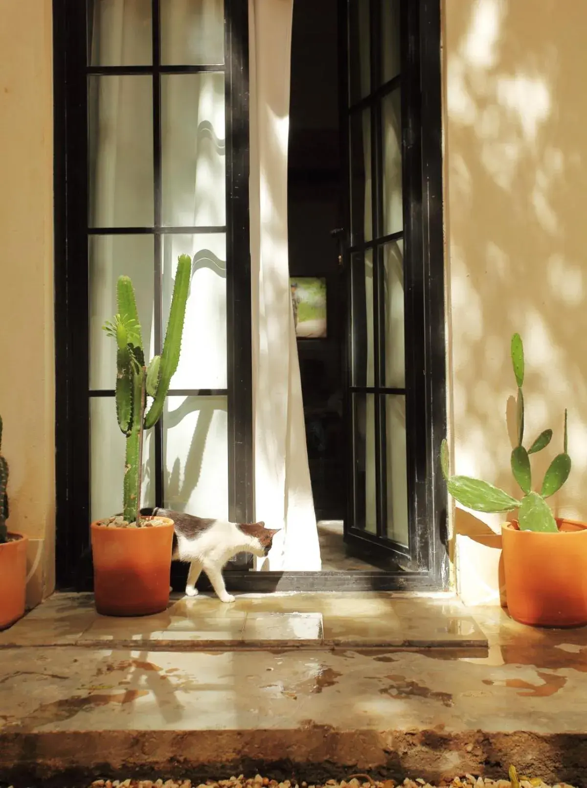 Apartment with Garden View in FIXIE LOFTS - Colonial Villa Suites with Pool Apartment with Garden View in FIXIE LOFTS - Colonial Villa Suites with Pool