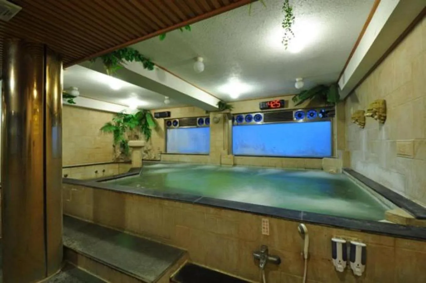 Hot Spring Bath in Baron's Hot Spring Hotel
