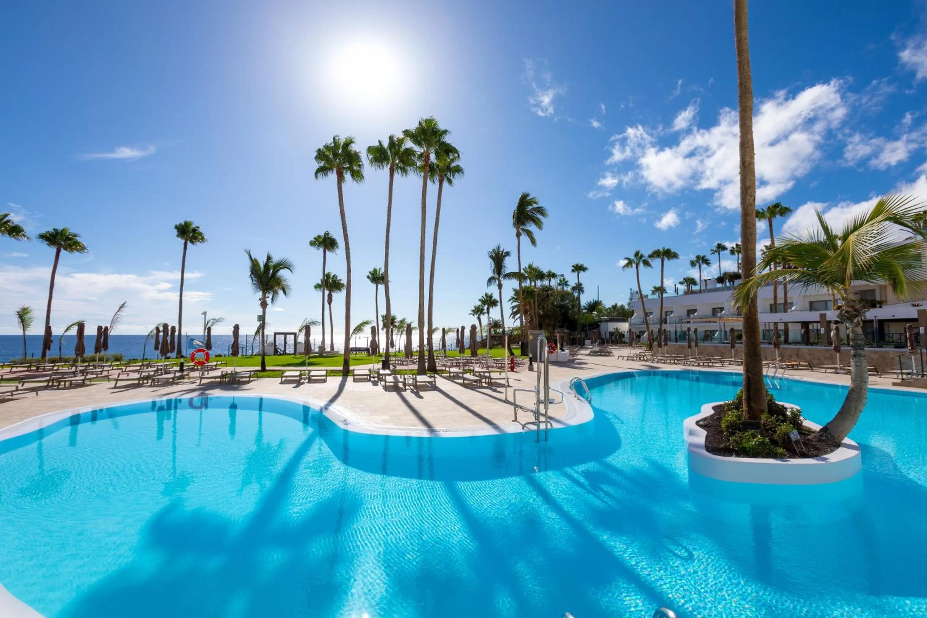 Swimming pool in Hotel Riu Palace Calypso - Adults Only