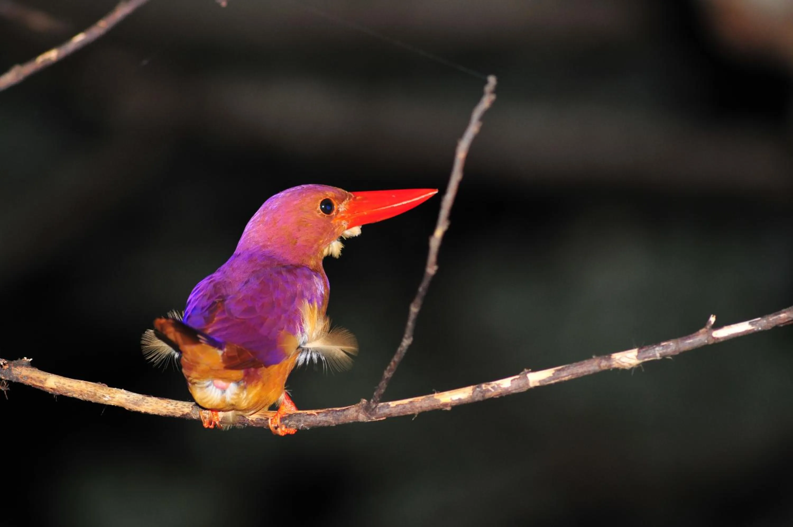 Hotel Big Marine Amami