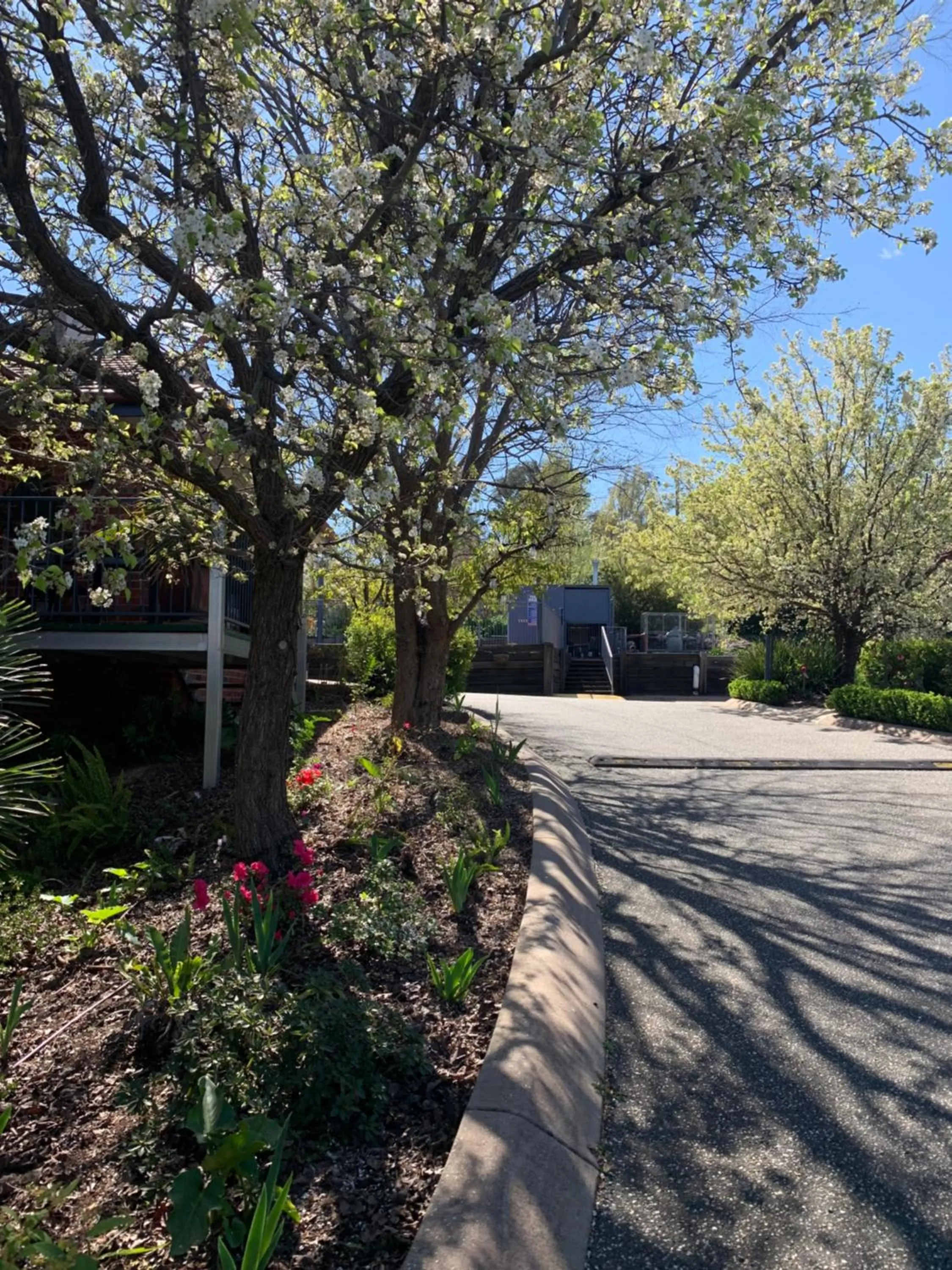 Garden in Blazing Stump Motel & Suites