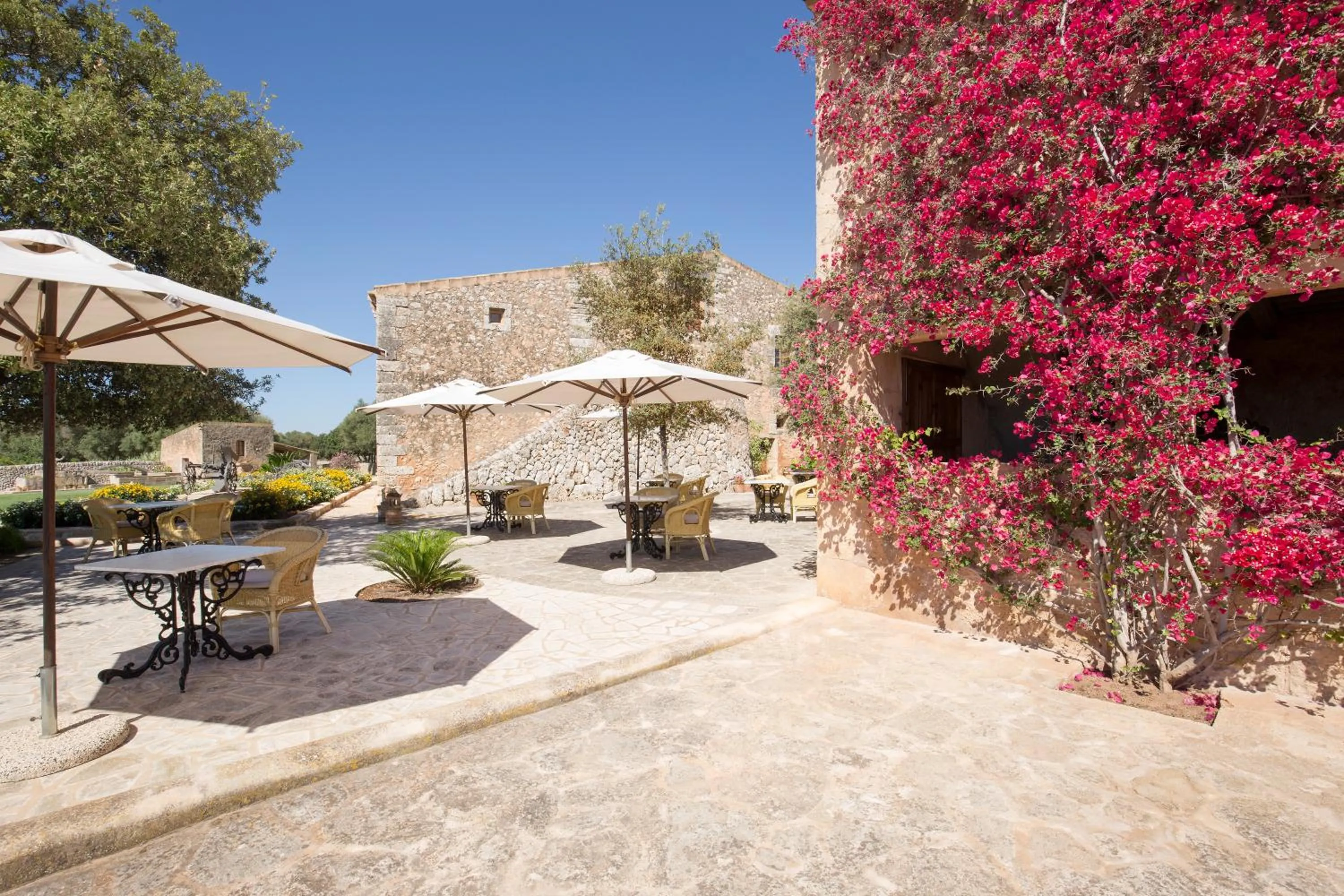 Patio in Hotel Son Cosmet