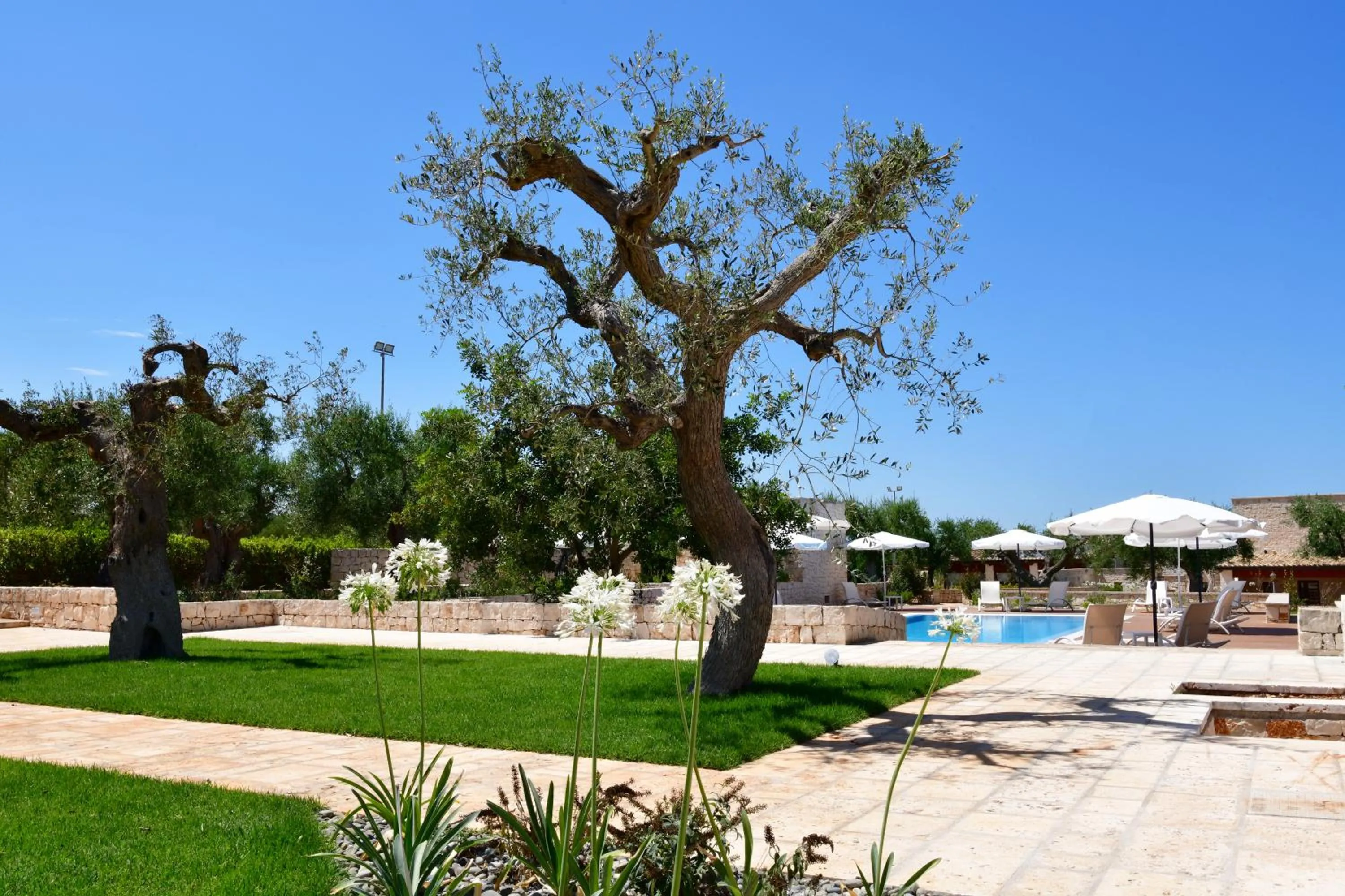 Swimming pool in B&B Fiano Marchione
