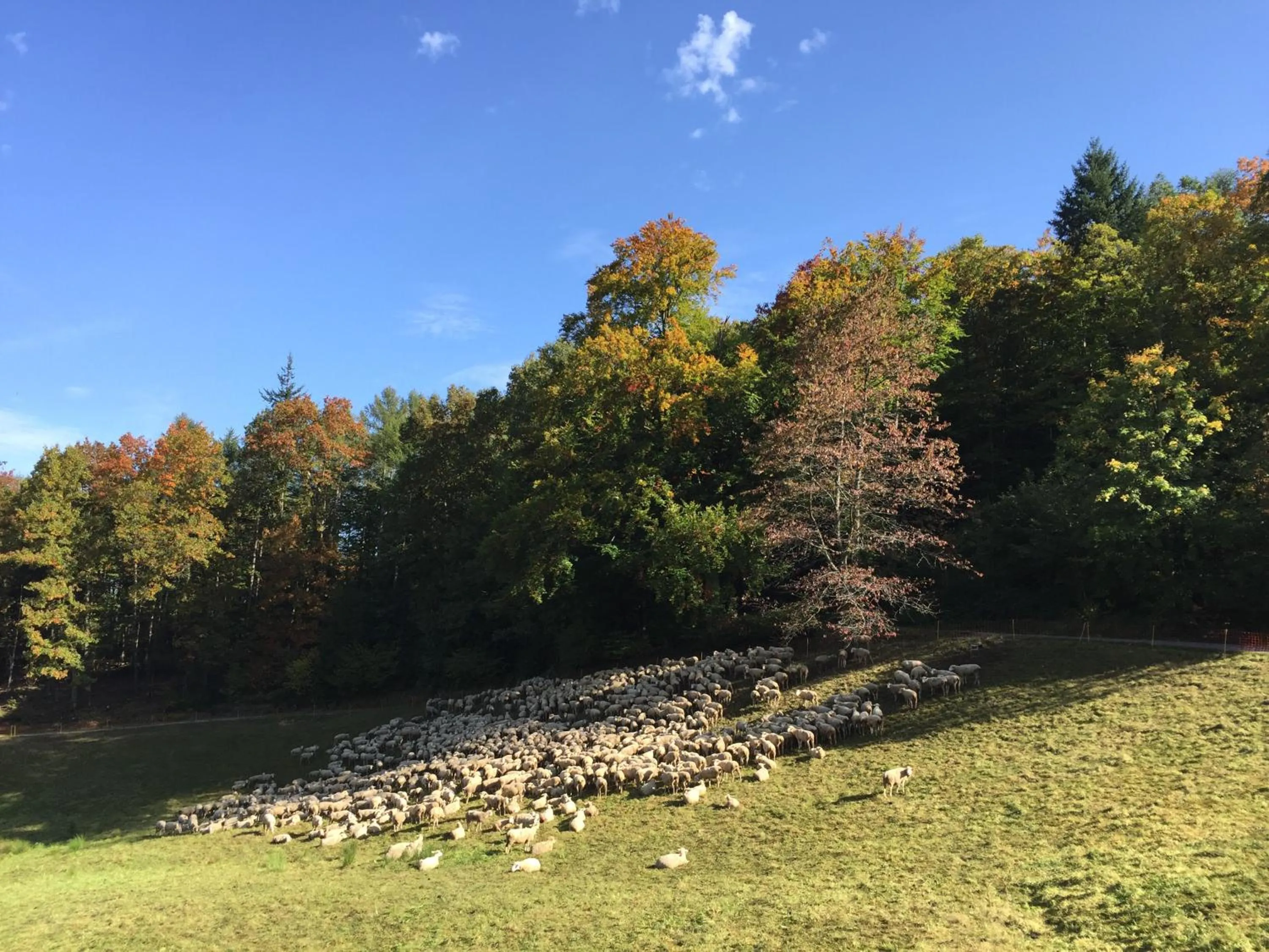 Other in Hotel Kull von Schmidsfelden