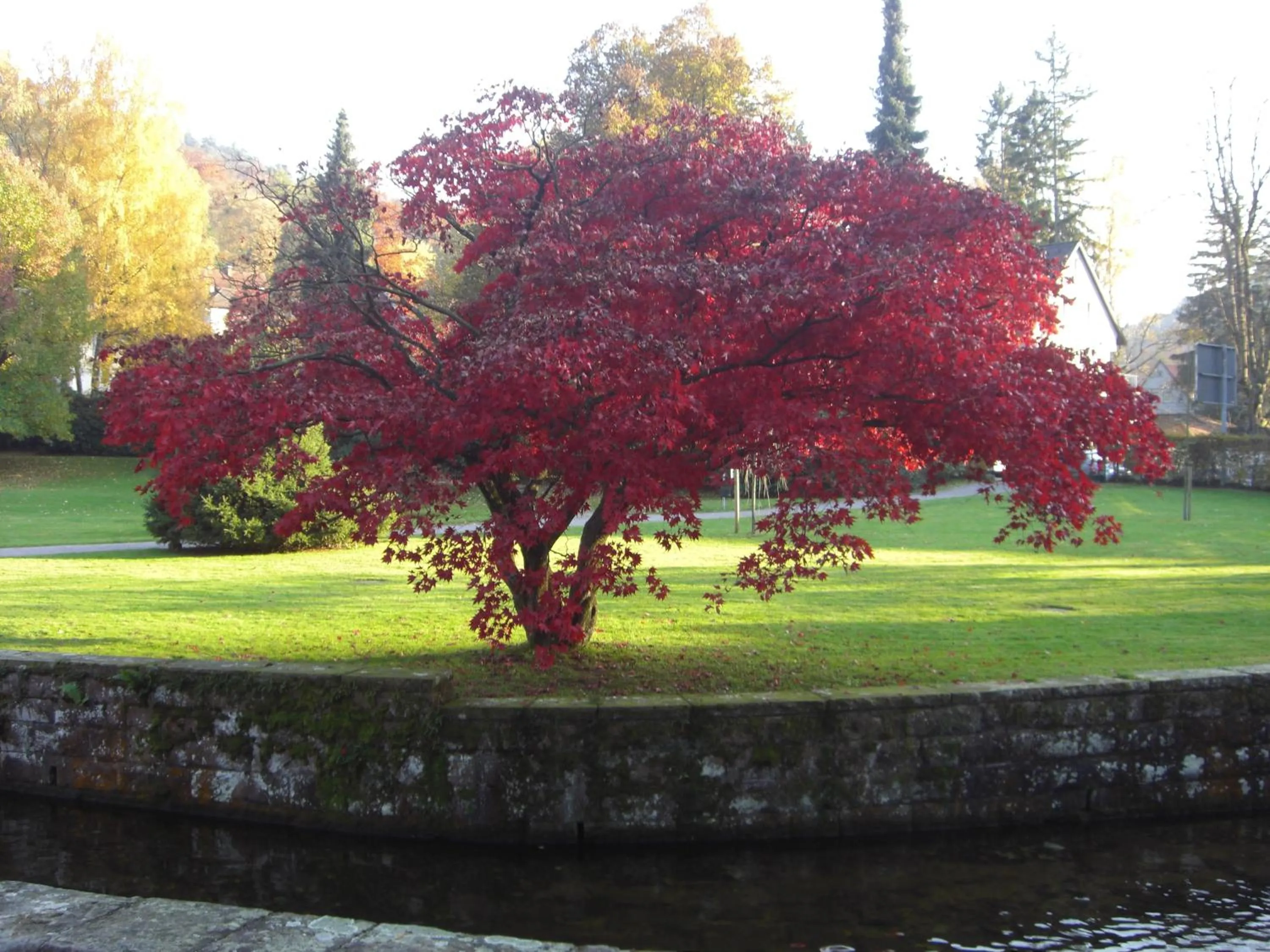 Garden in Hotel Kull von Schmidsfelden